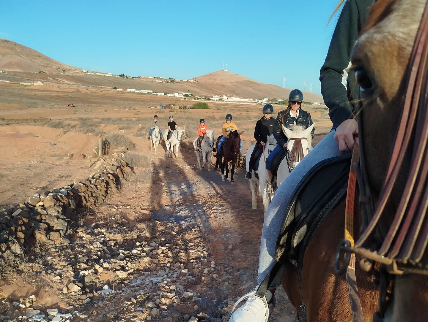 Horseback Riding in Corralejo photo 1