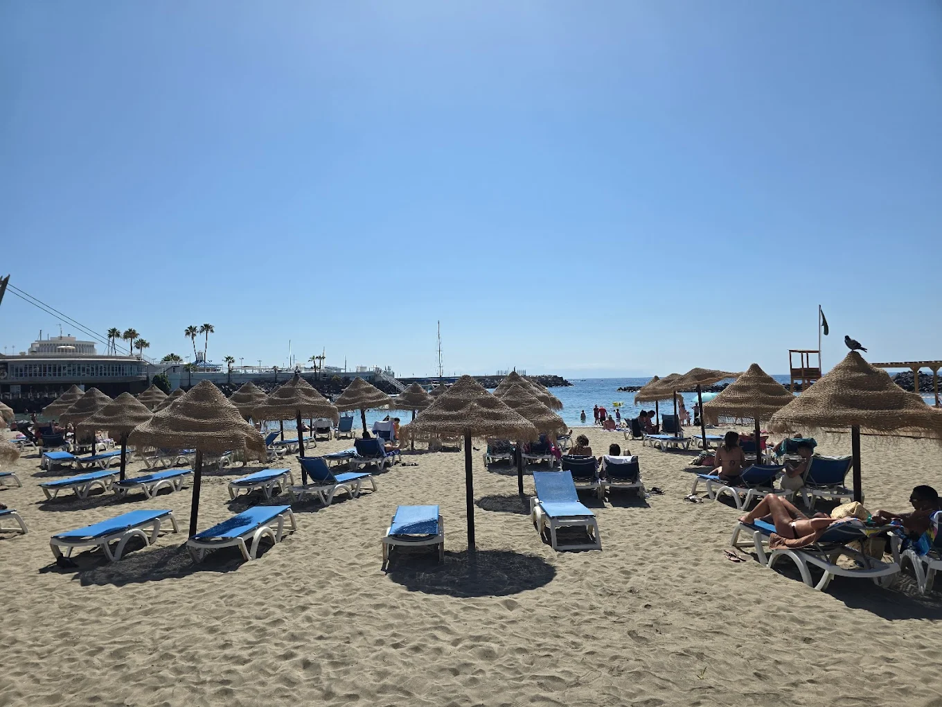 Excursion Trip Tenerife