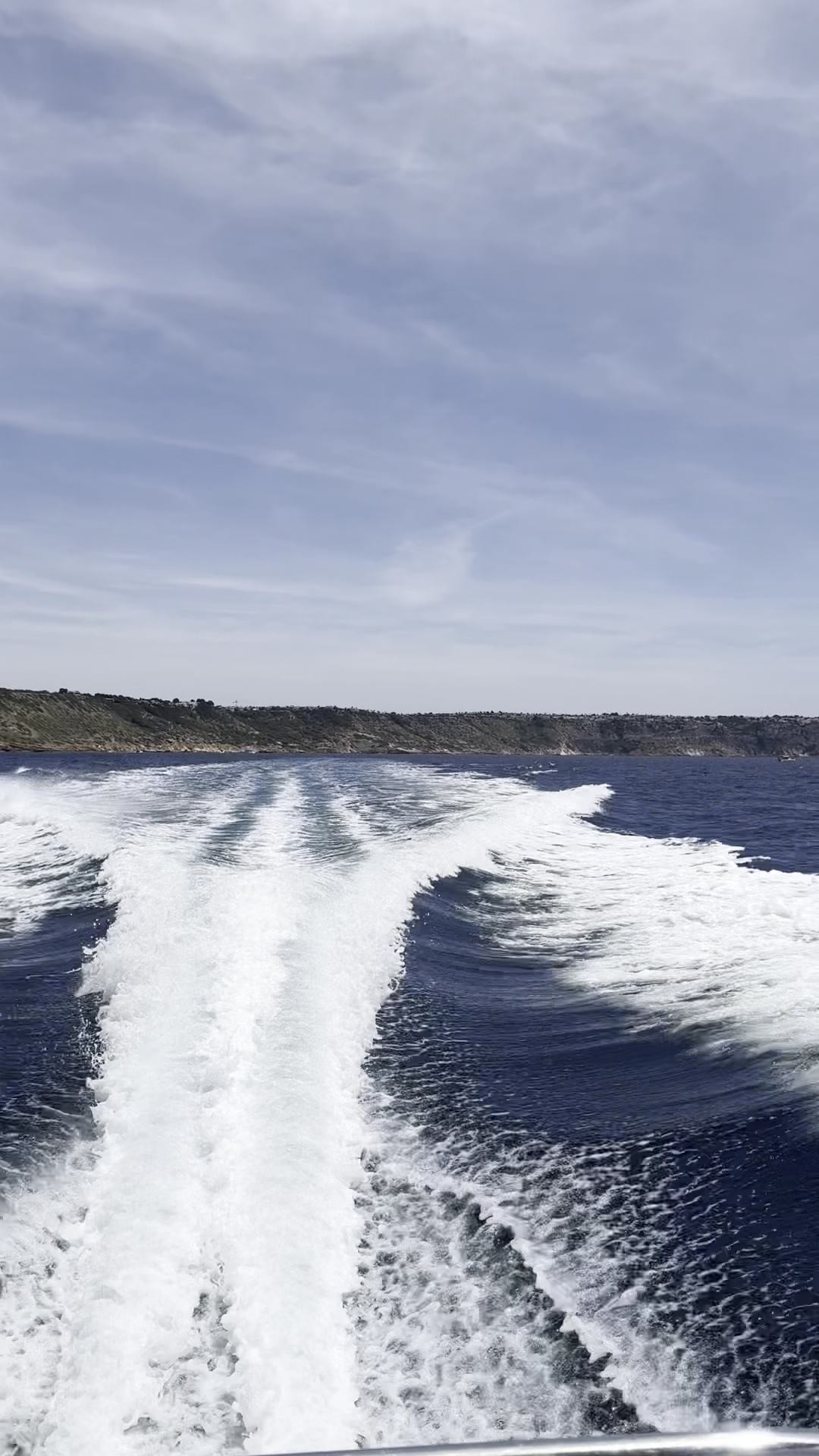 Dolphin Watching in Cala Major photo 3