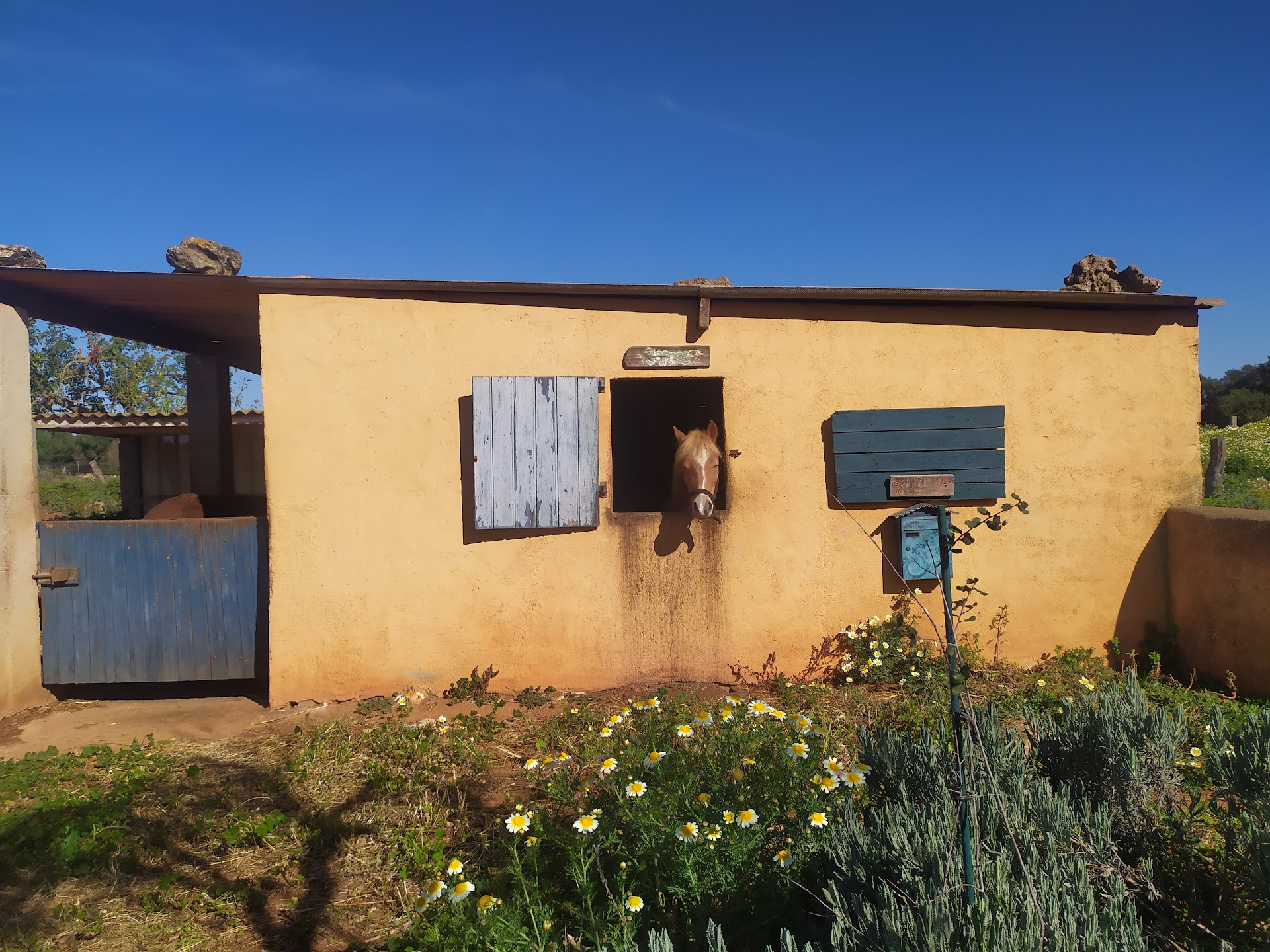 Rancho Cala Mandia