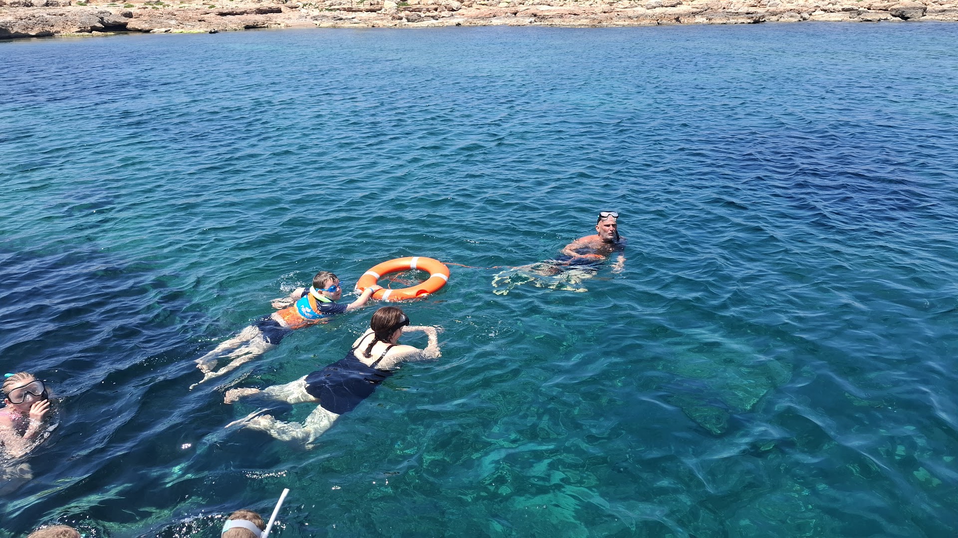Whale Watching in San Antonio photo 2