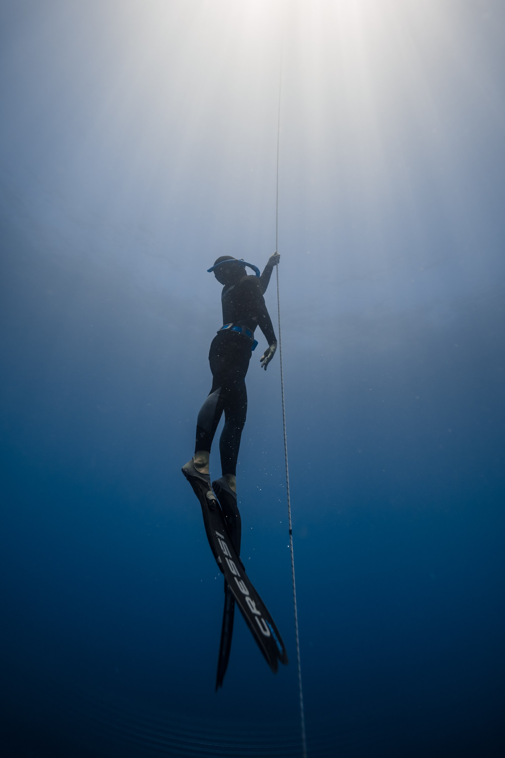 Freediving in Los Gigantes photo 2