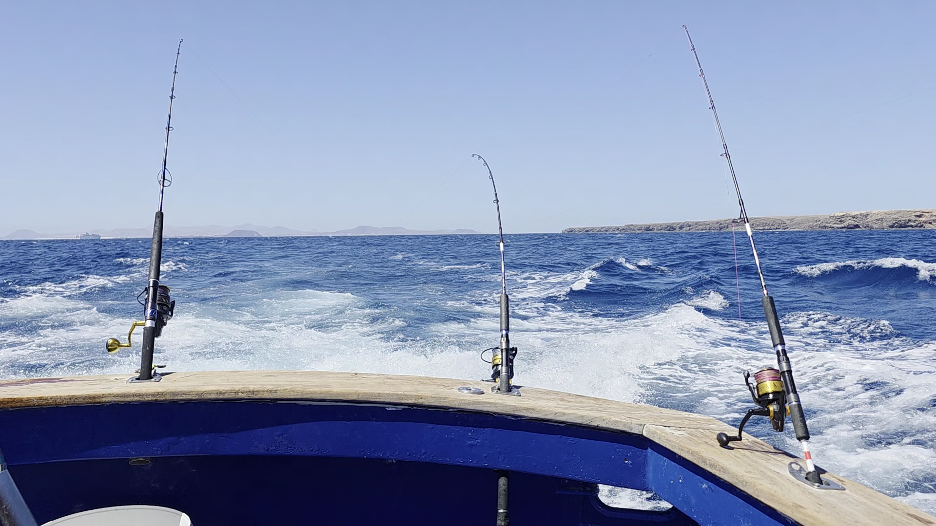 Fishing Charter in Costa Teguise photo 3