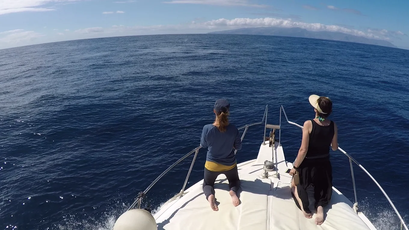 Sea Passion Charter & Fishing