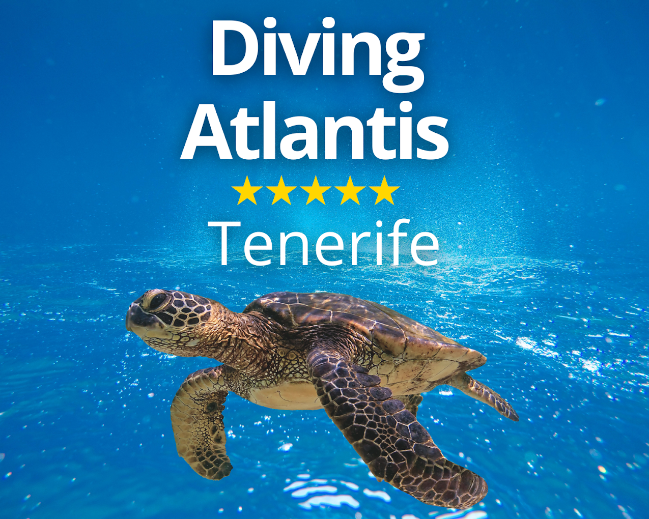 Scuba Courses in Los Cristianos photo 4