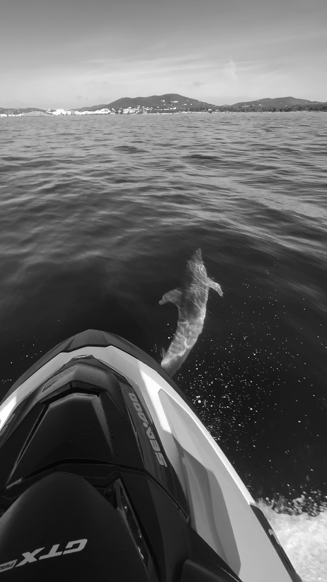 Jetski Rental in Cala Nova photo 3