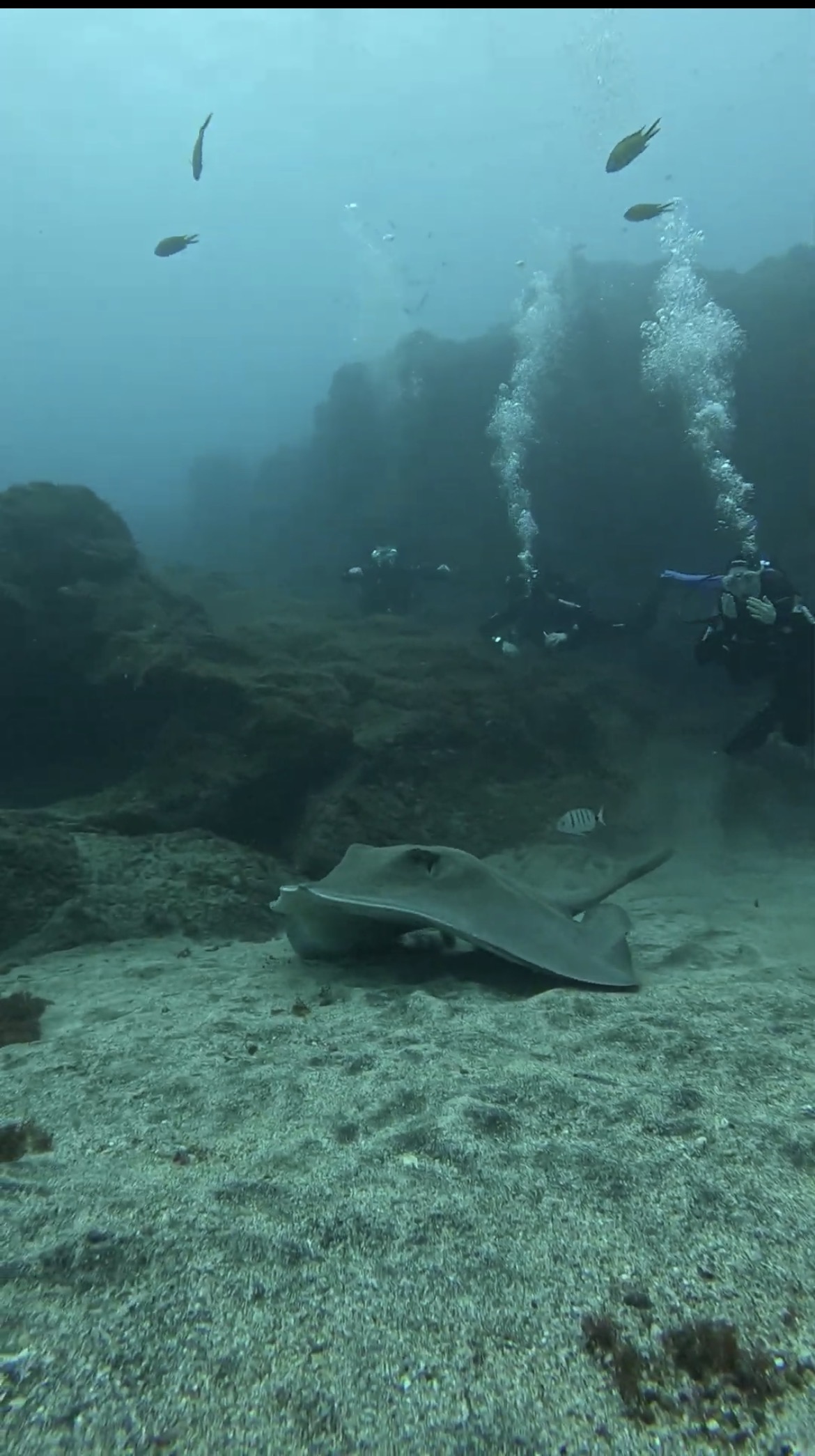 Snorkeling in Palma photo 3