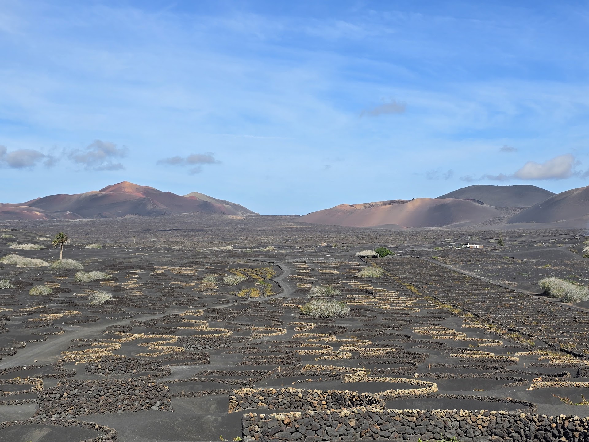 Hiking Tours in Arrecife photo 3