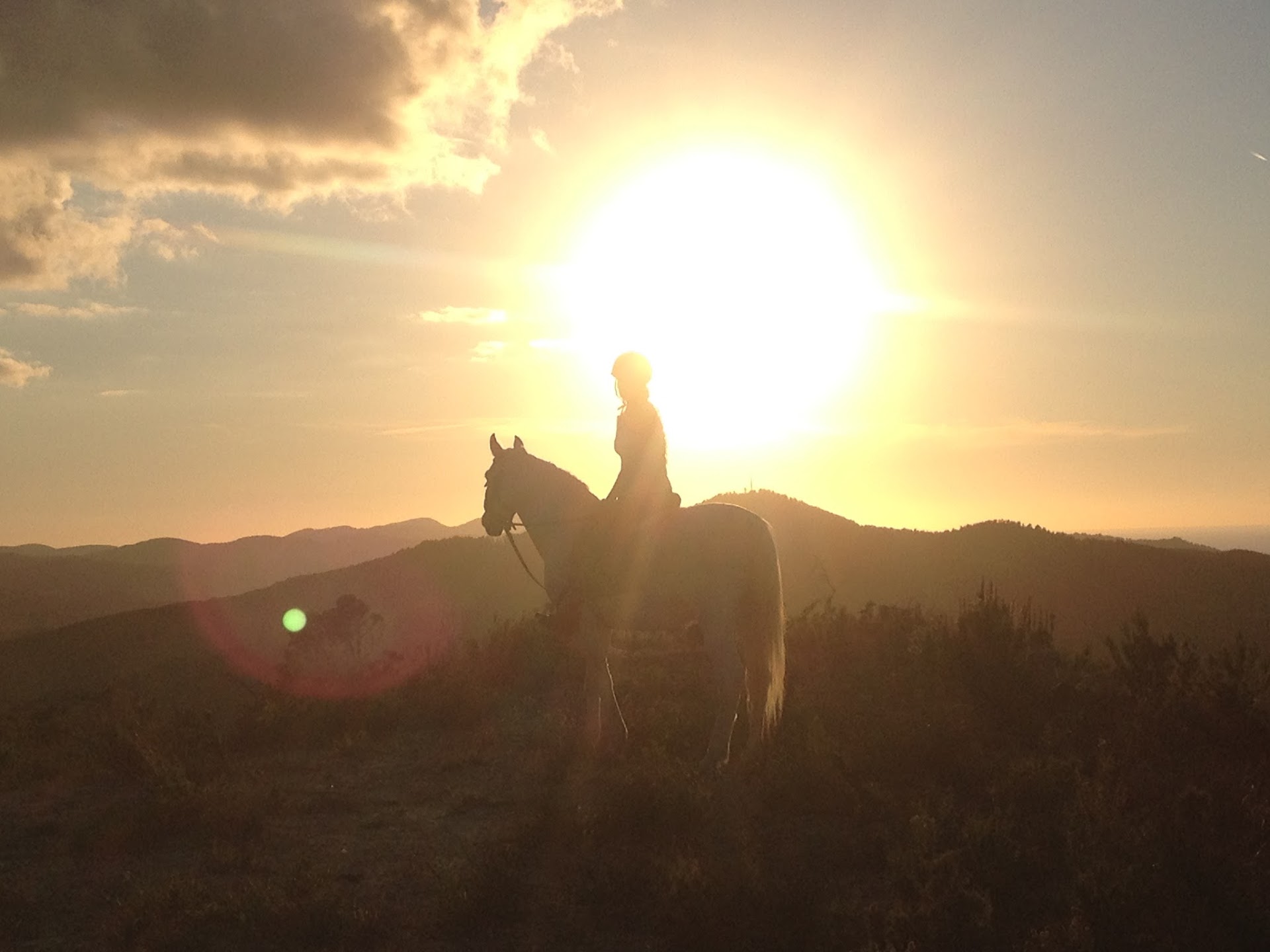 Horseback Riding in Cala Vadella photo 4