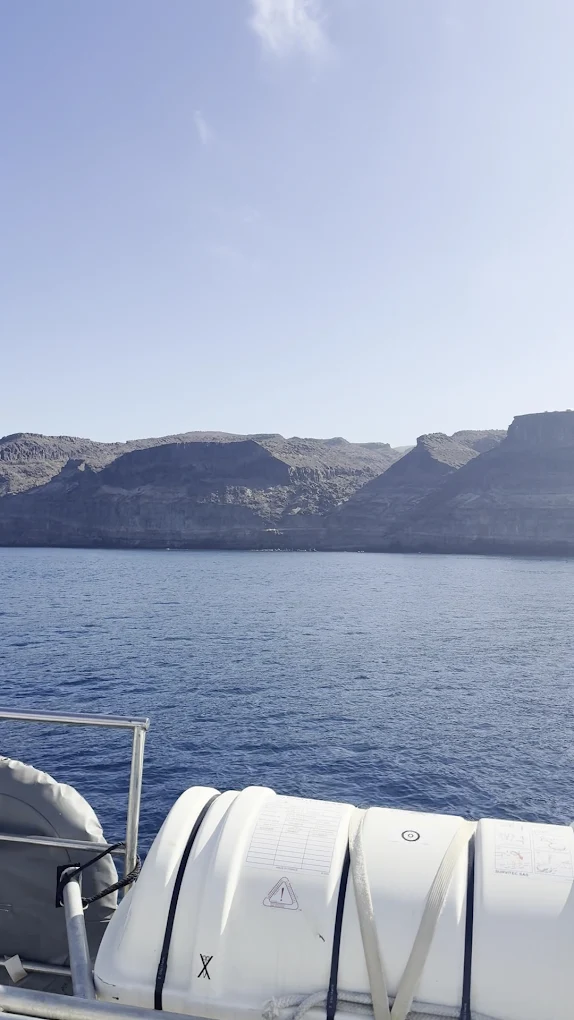 Family Boat Trips in Golf del Sur photo 3