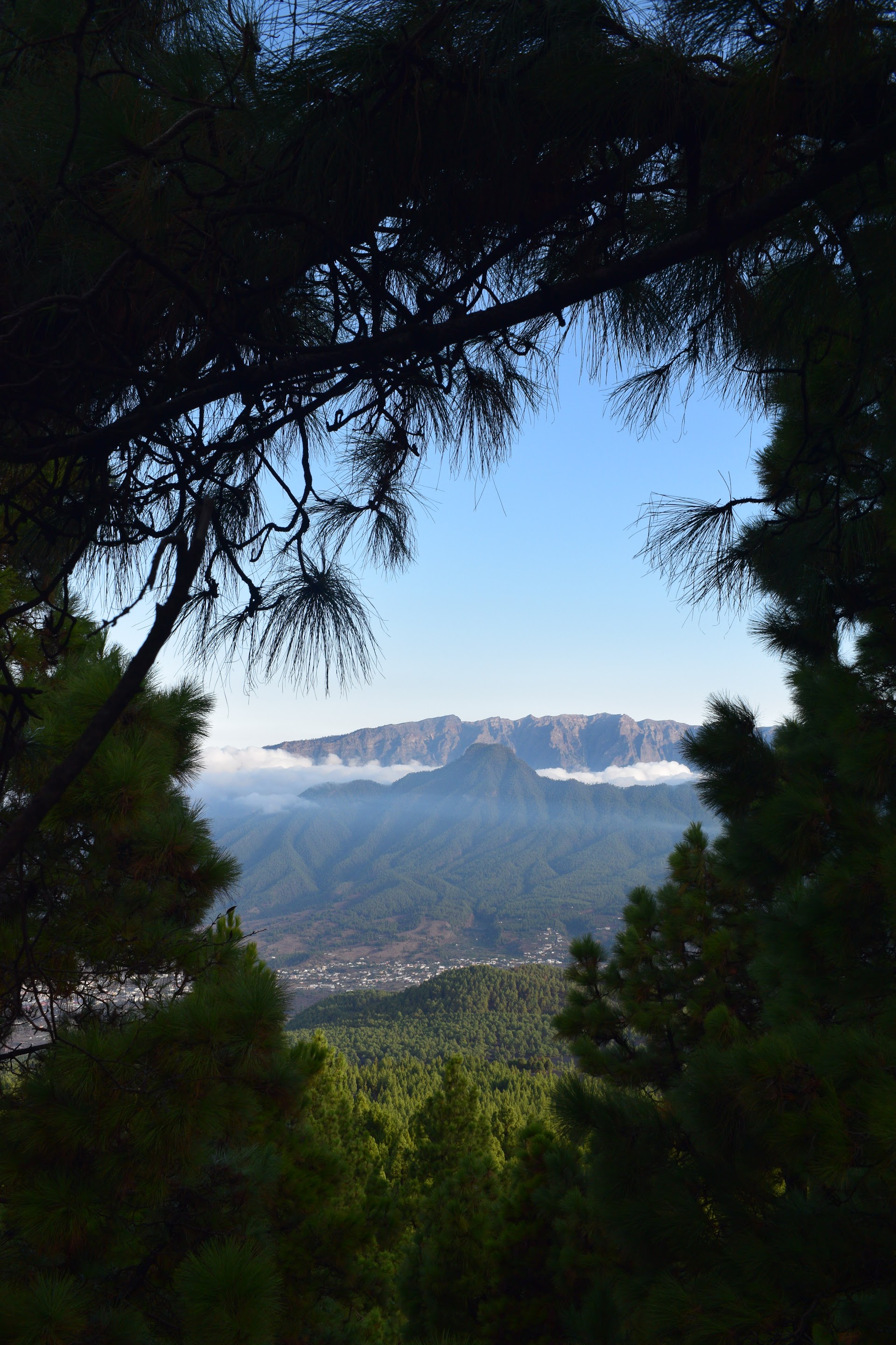 Senderismo La Palma