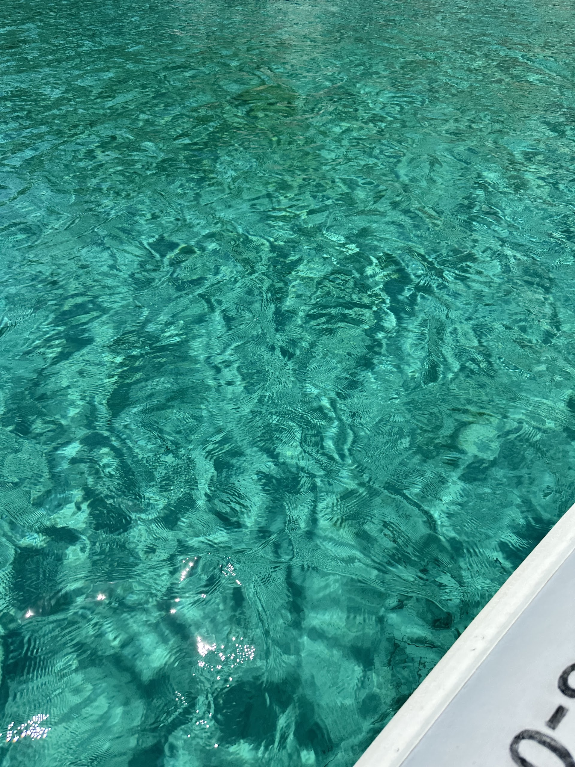 Catamaran Cruise in Cala San Vicente photo 2