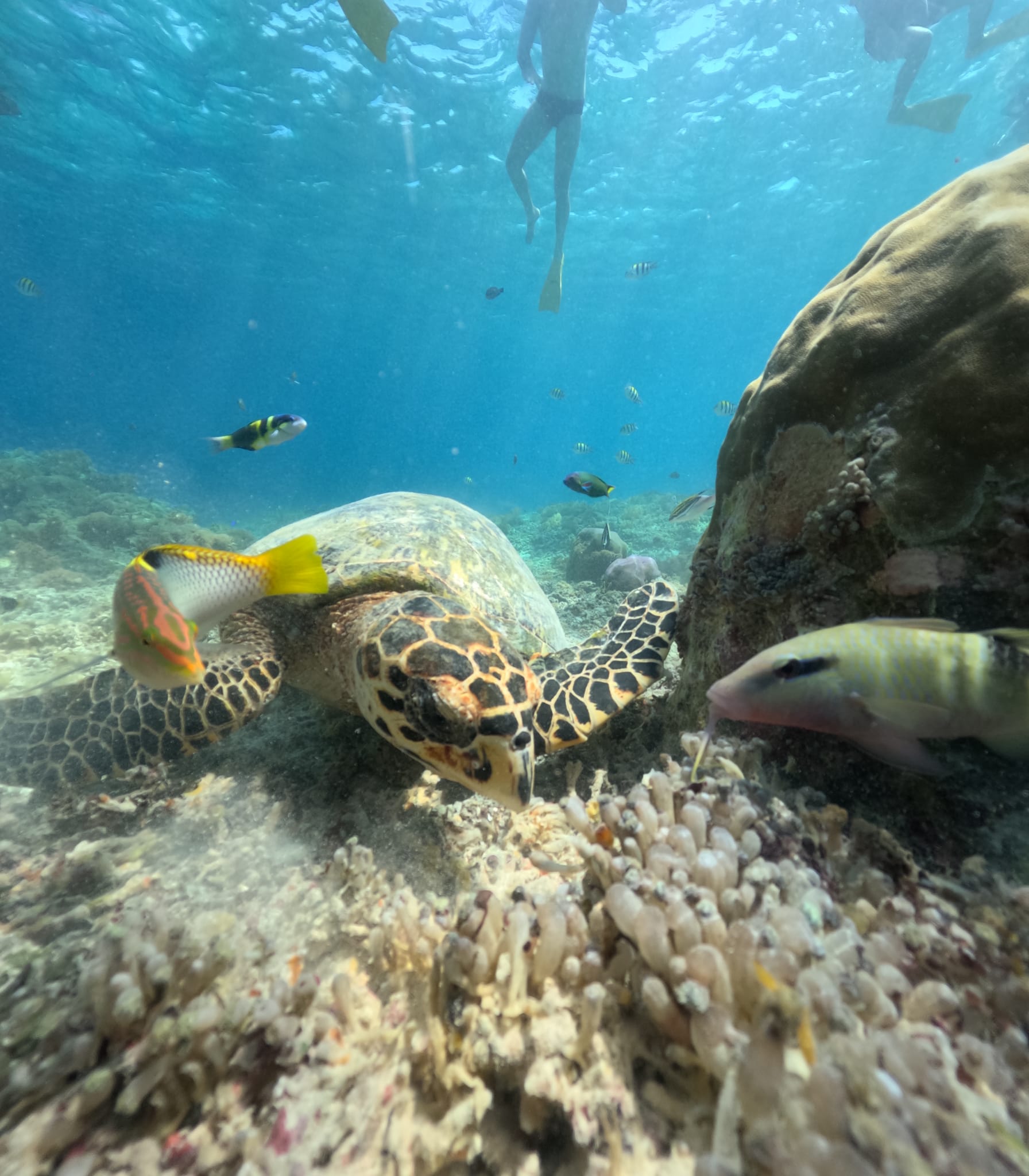 Hiking Tours in gili trawangan photo 1