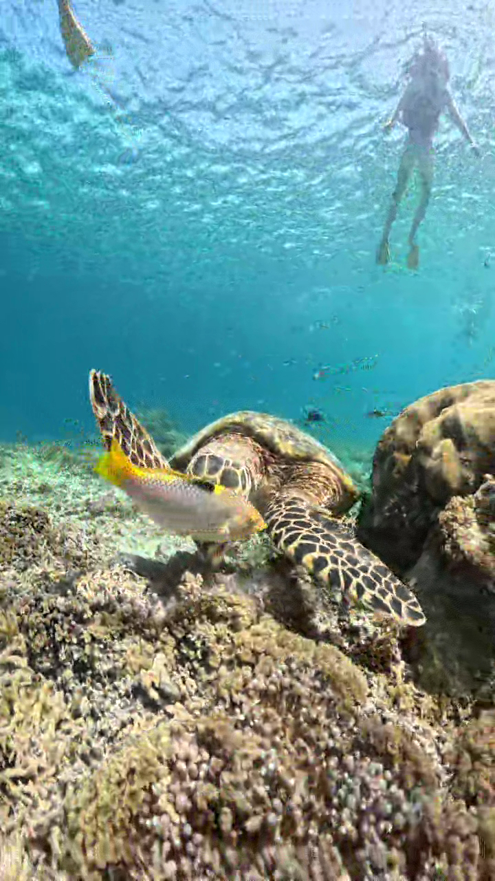 Hiking Tours in gili trawangan photo 3