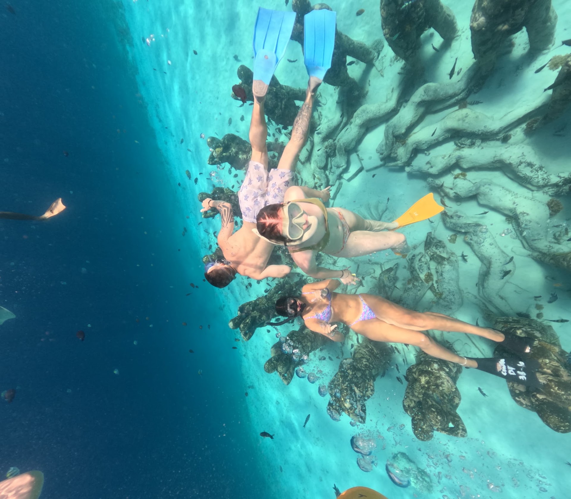 Hiking Tours in gili trawangan photo 5