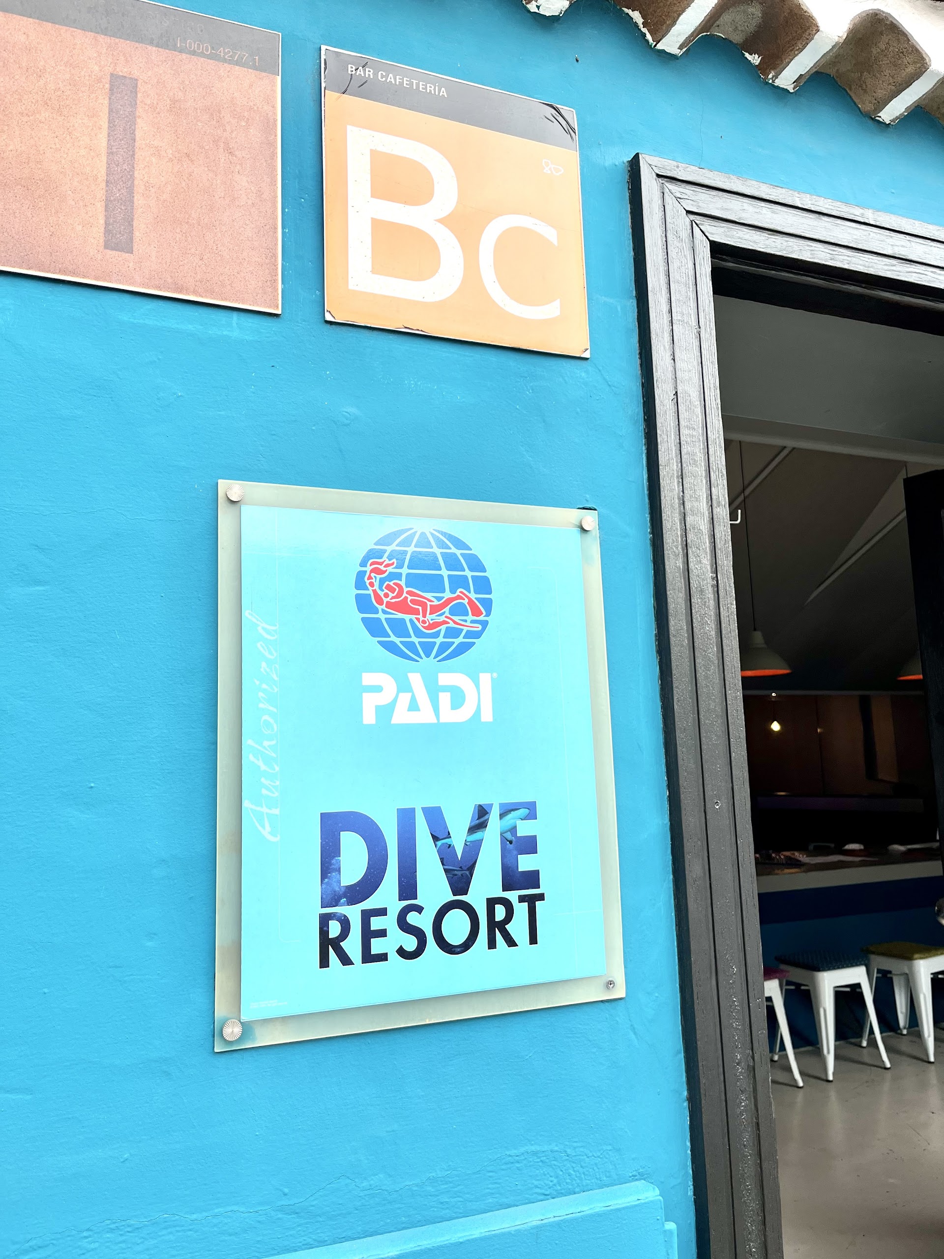 Black Sand Diving La Palma