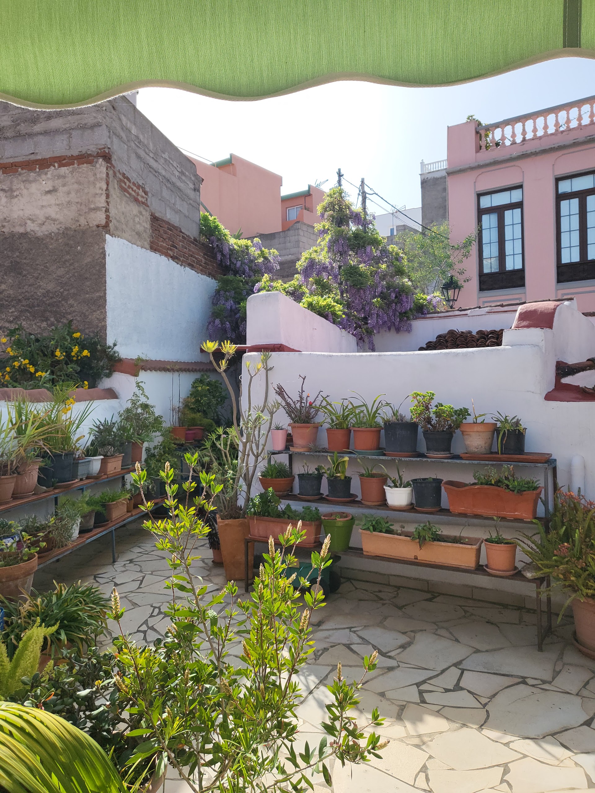 Espacio Girasol