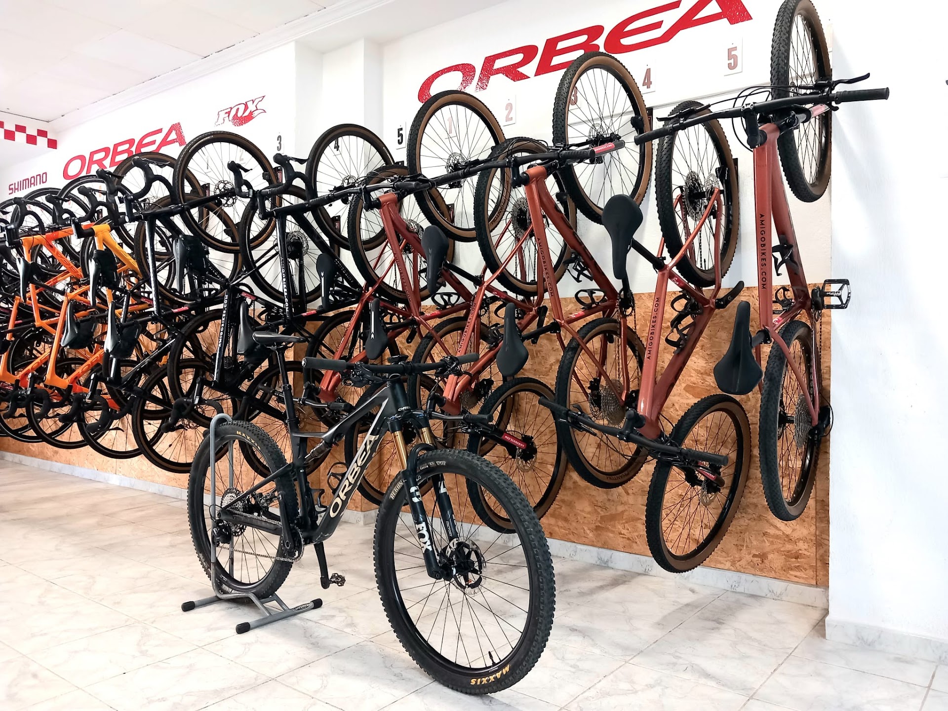 Mountain Bike Rental in Cala Mesquida photo 4