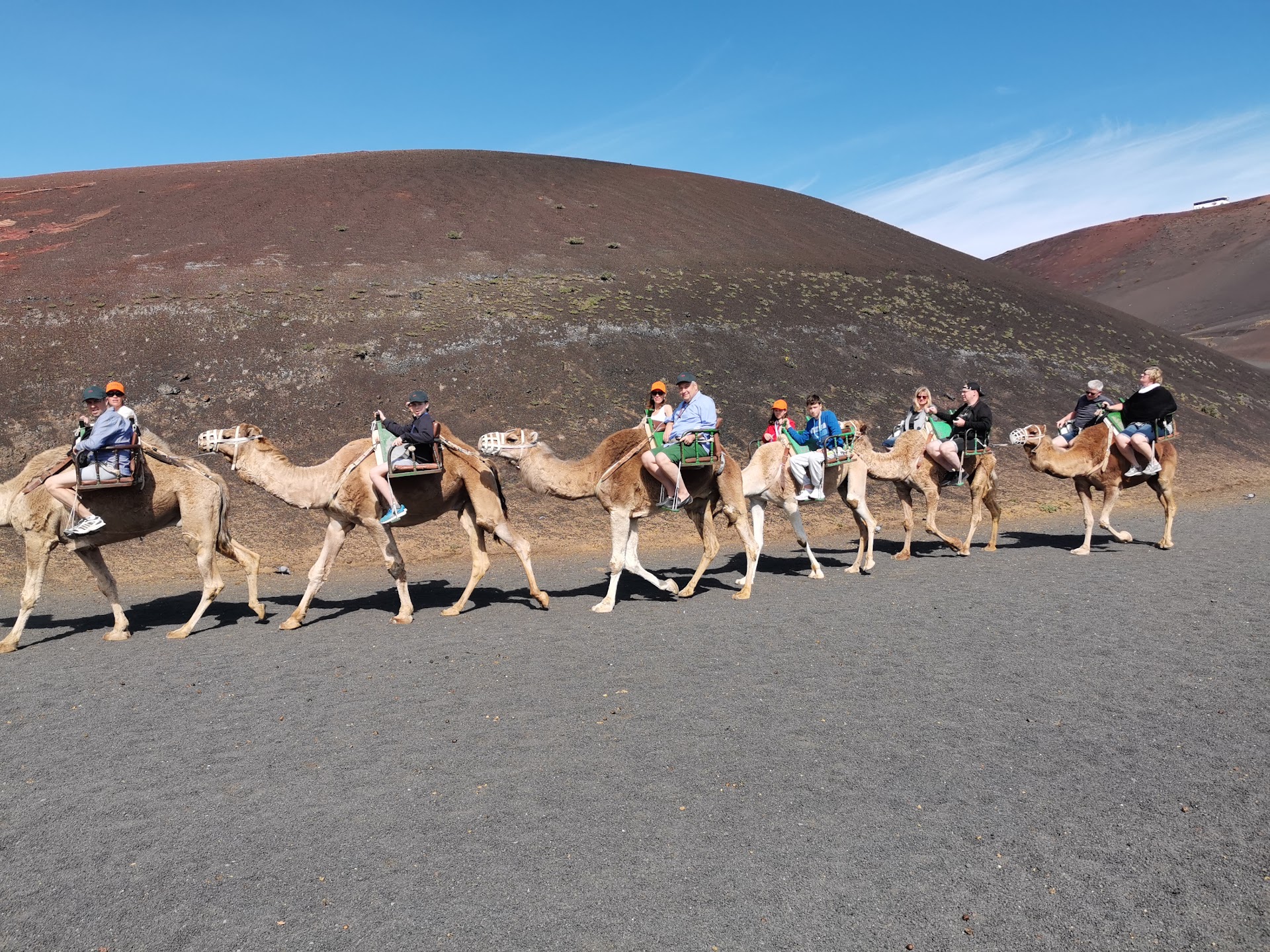 Camel Centre