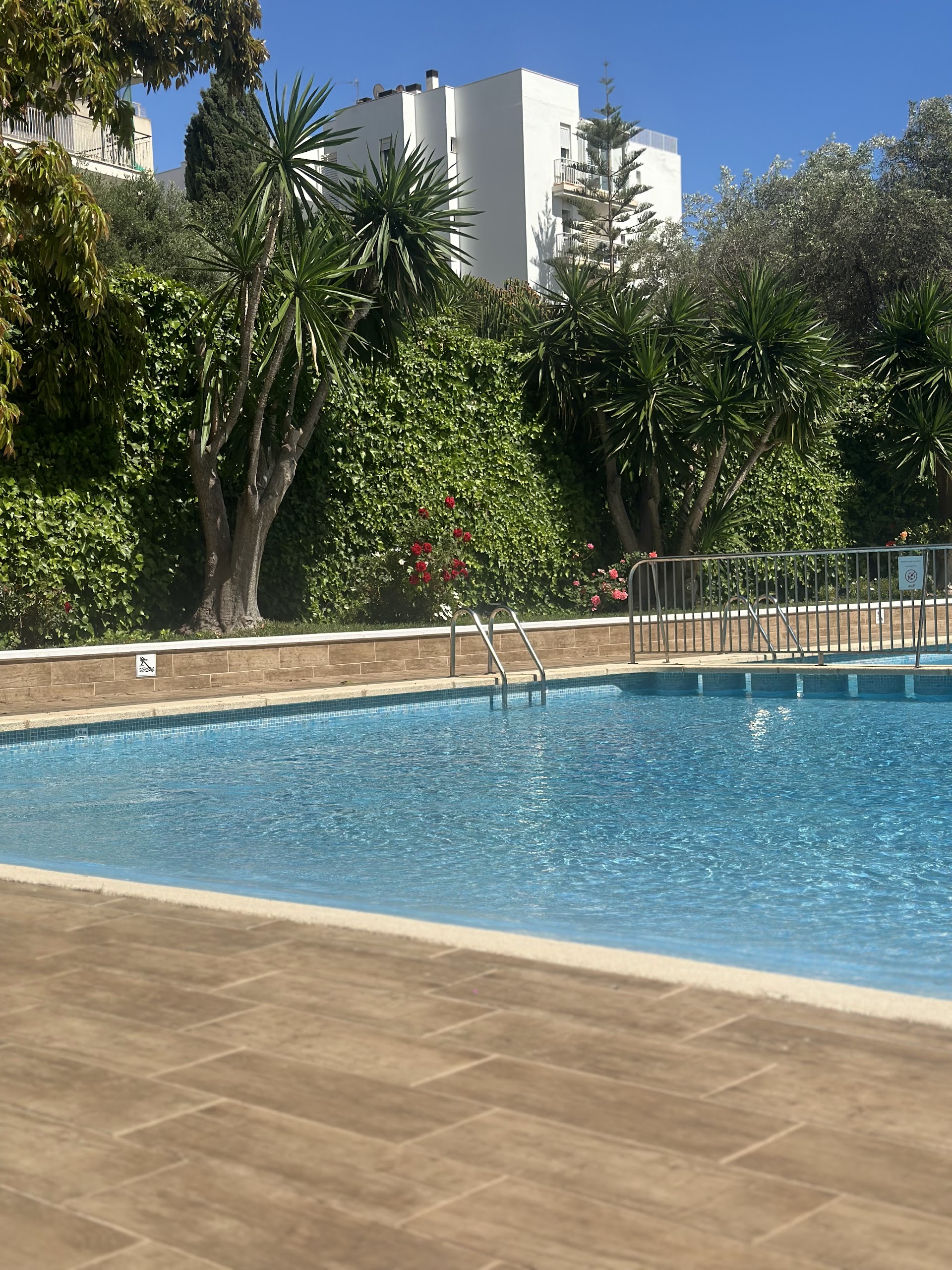 Yoga & Wellness in Cala Major photo 3