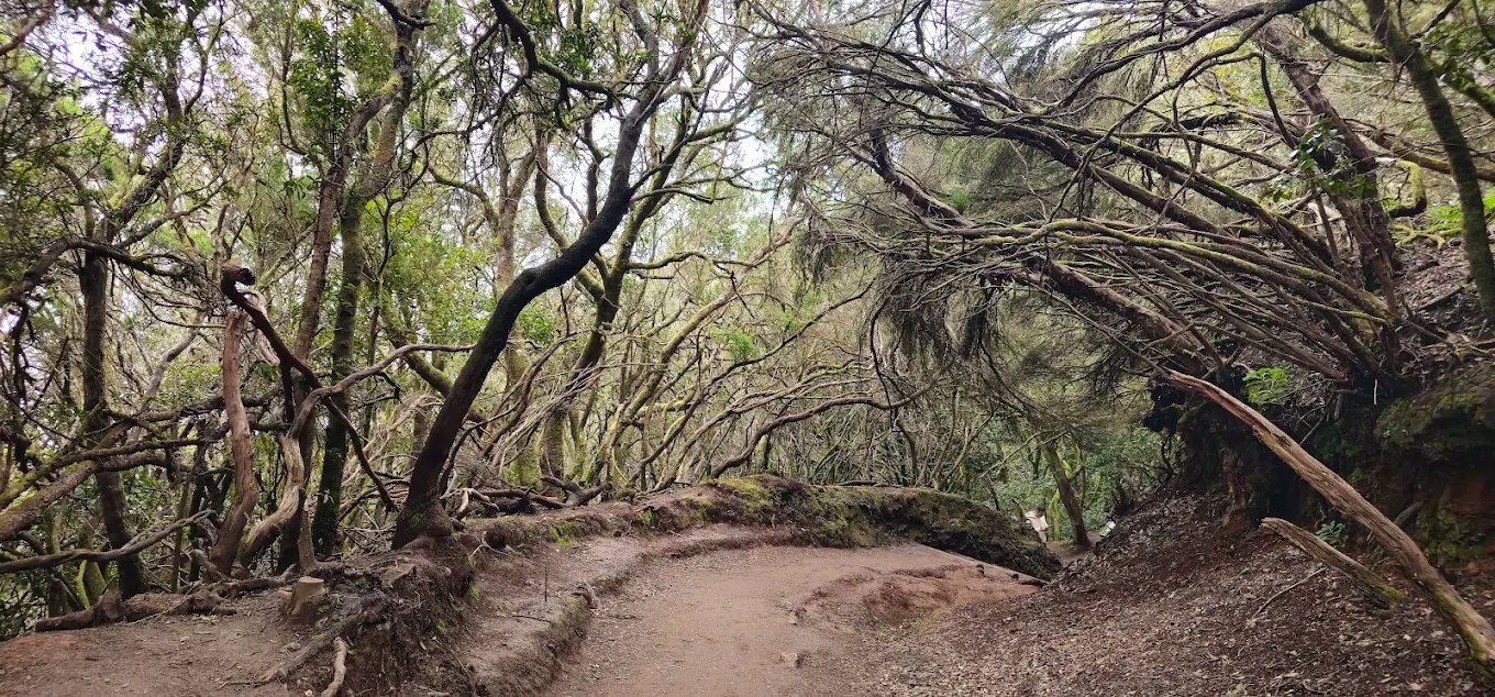 Parque Rural de Anaga
