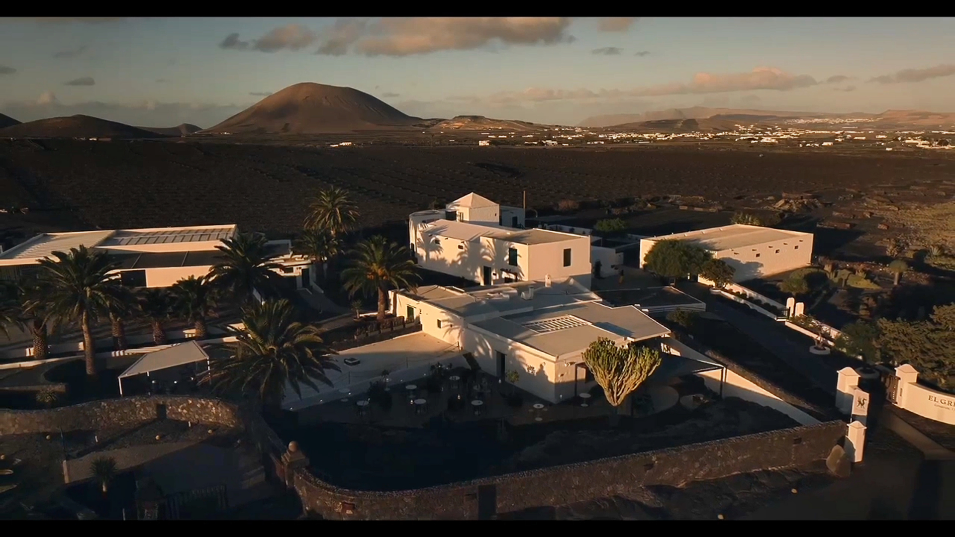 Bodegas EL GRIFO