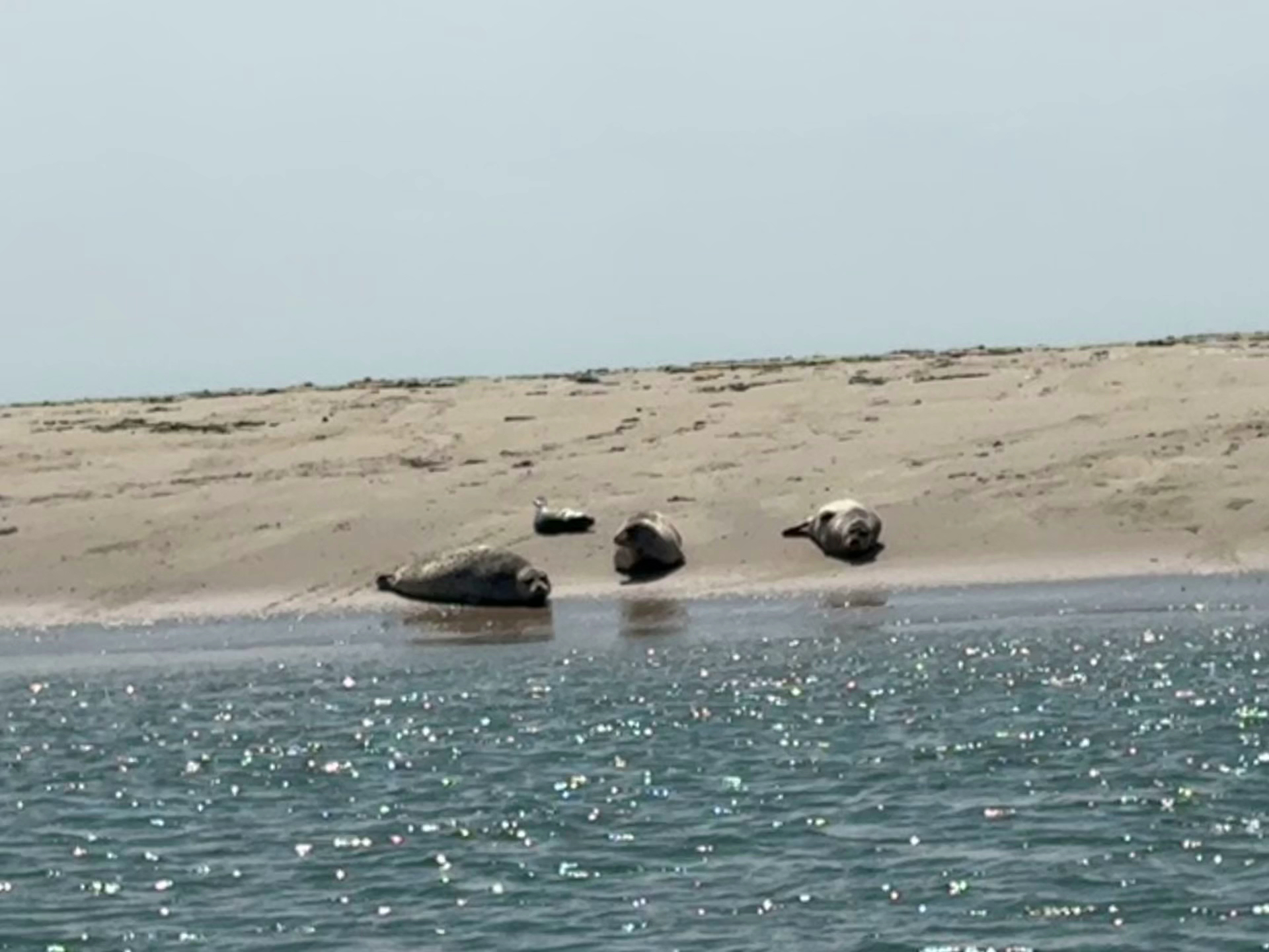 Yacht Charter in West-Terschelling photo 3