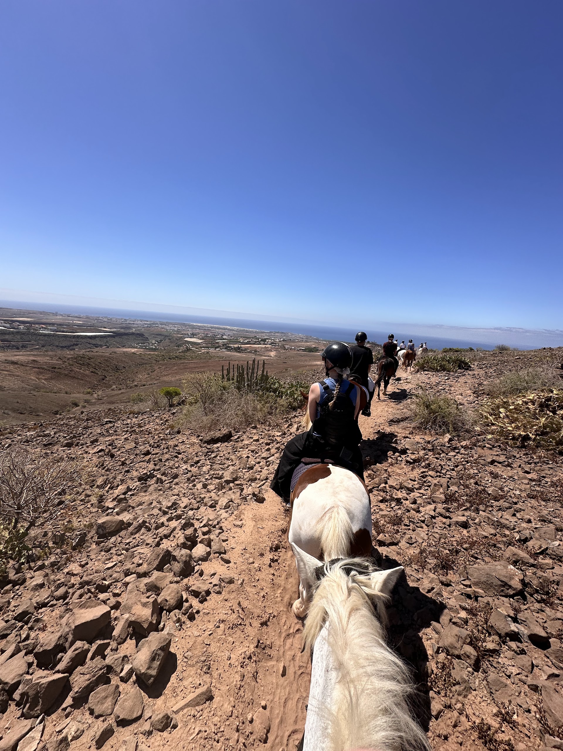Horseback Teror photo 2
