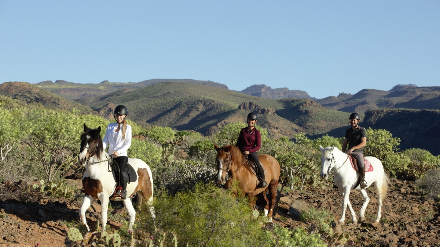 Horseback Teror photo 5