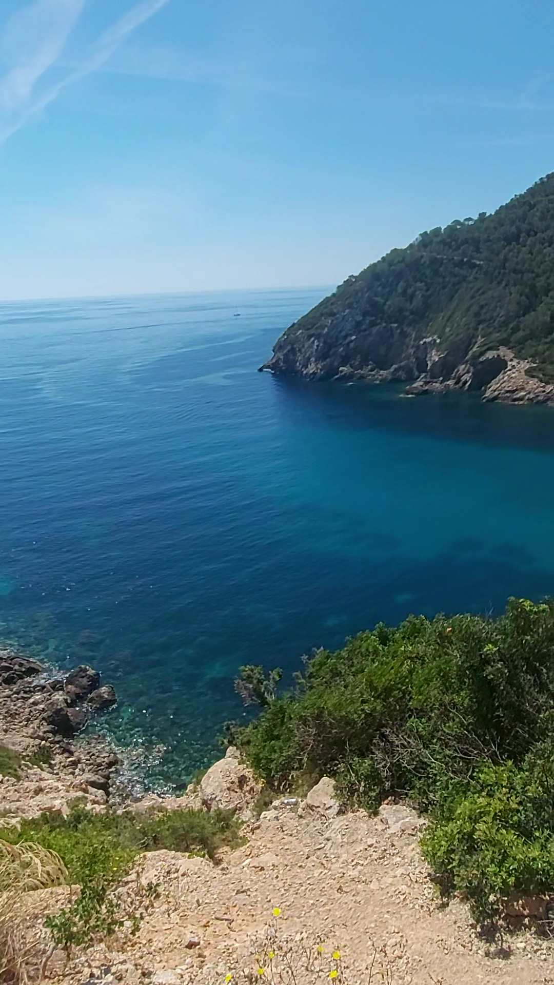 Dolphin Watching in Cala Llonga photo 2