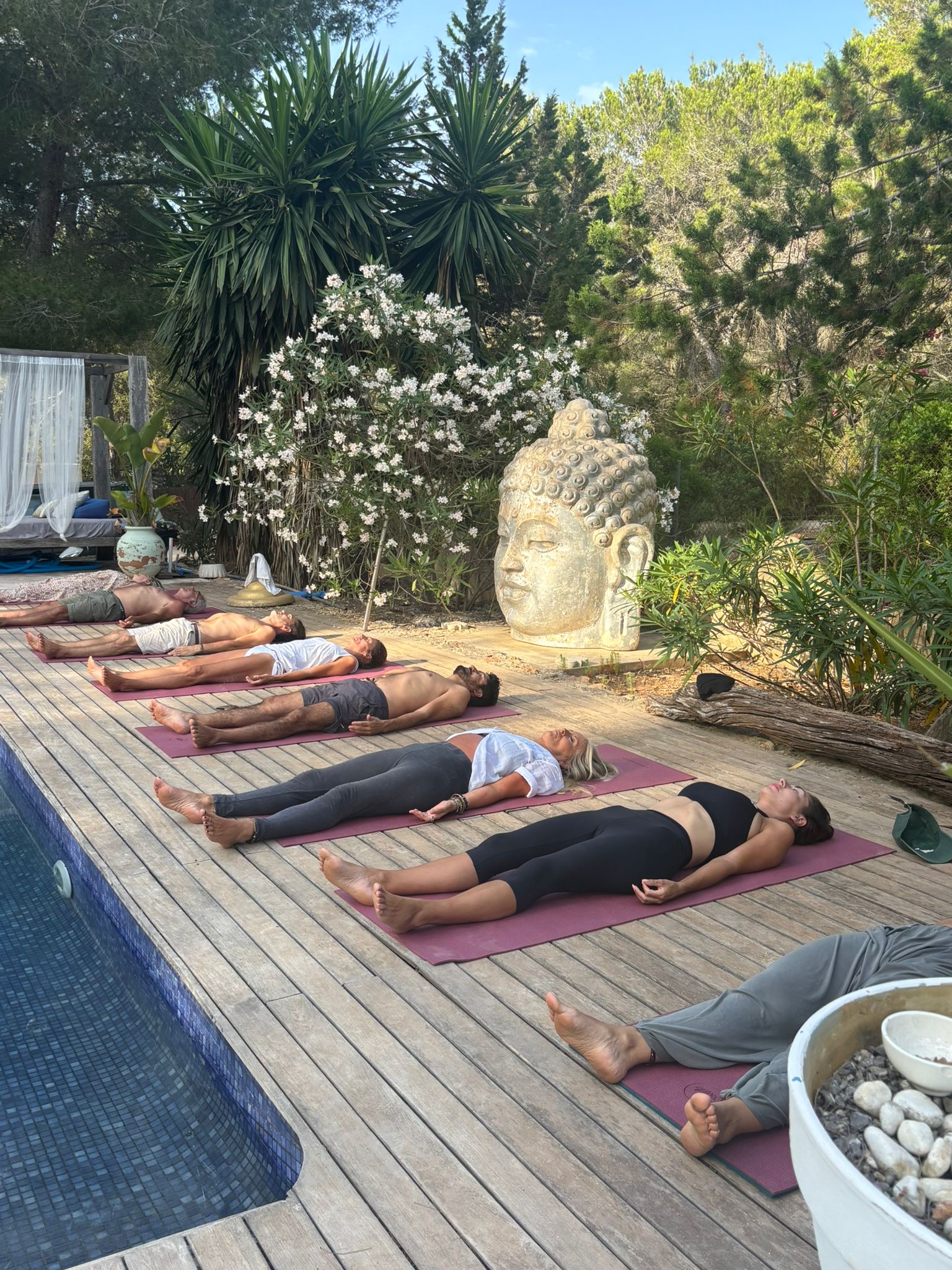 Wellness Retreat in San José photo 1