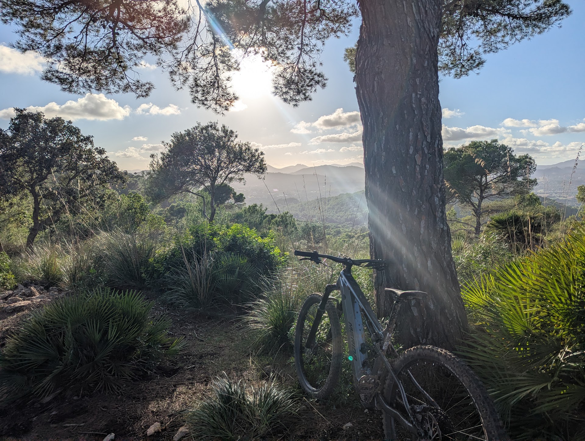 CAMIBIKE Bike Rental & Tours Cala Millor
