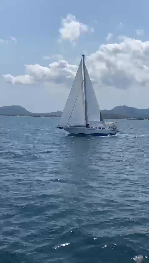 Island Hopping Tour in Pollença photo 3