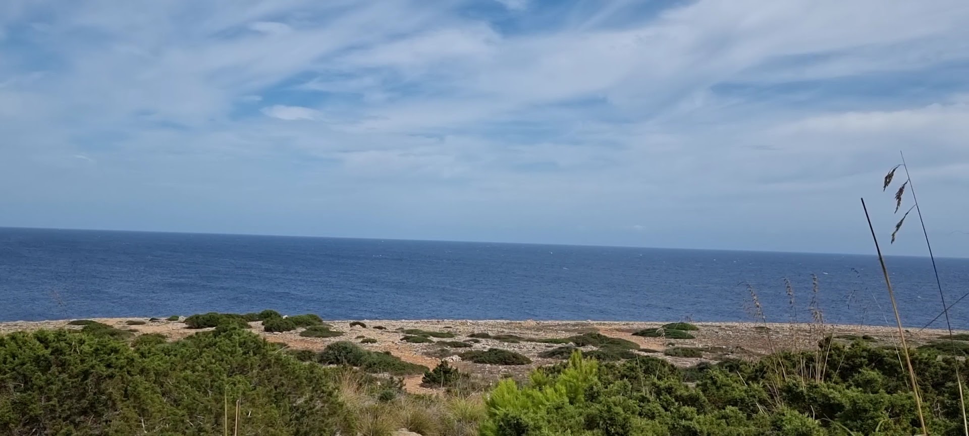 Windsurfing in Cala Millor photo 3