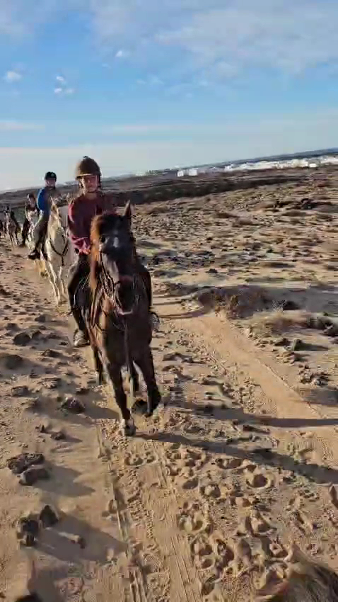 Horseback Macher photo 3