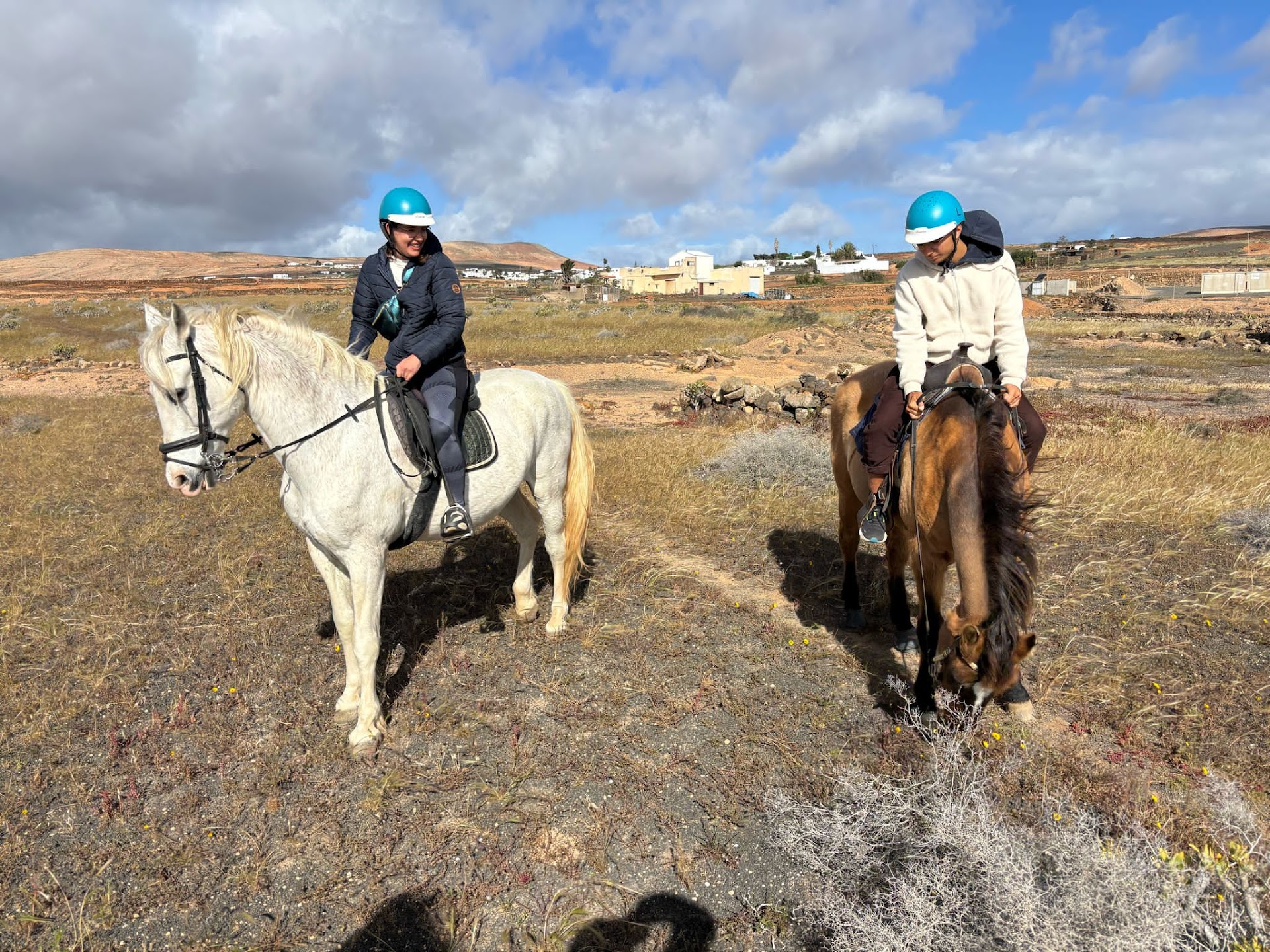 Horseback Macher photo 5