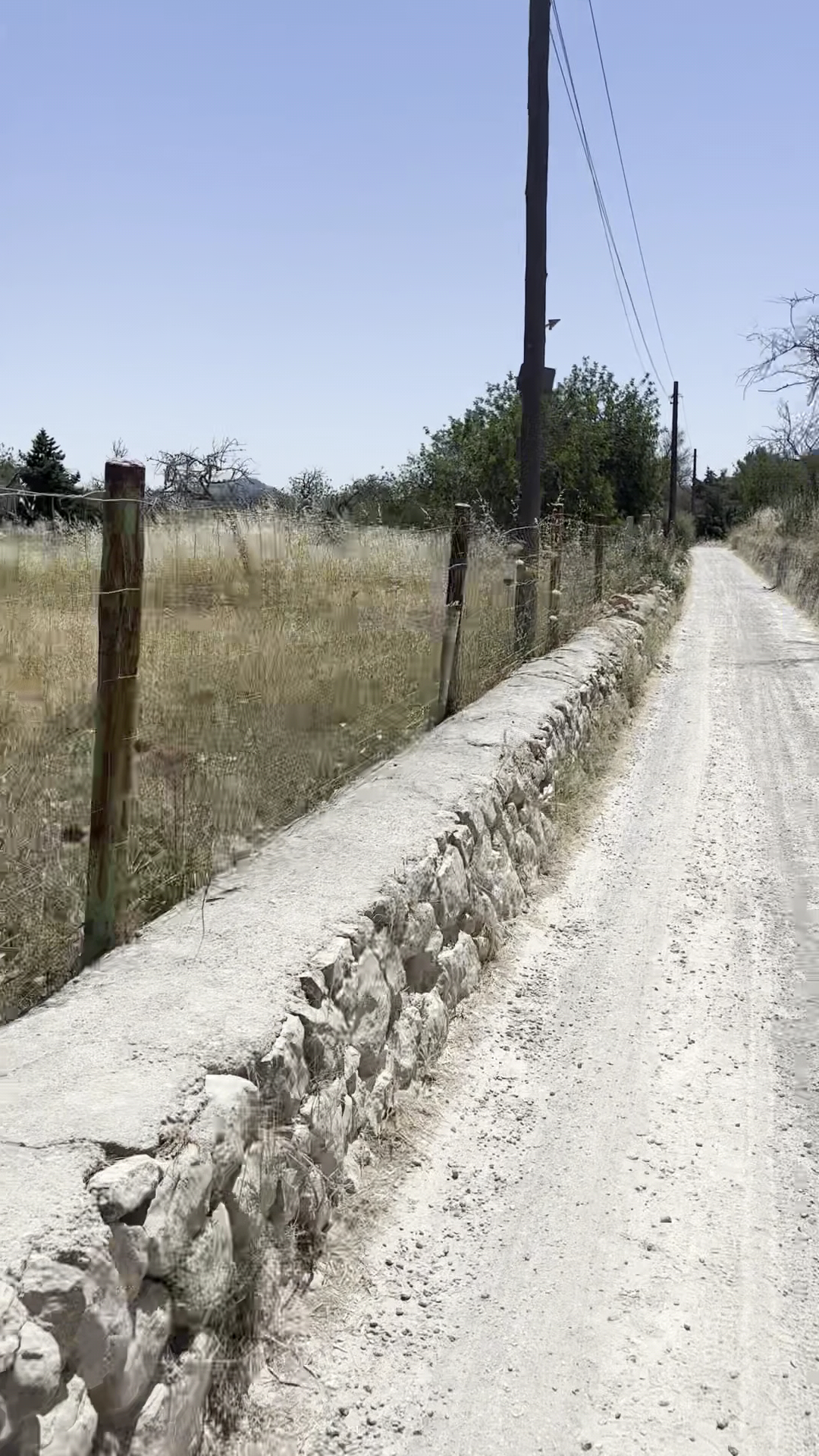 Mountain Bike Rental in Ibiza Town photo 2