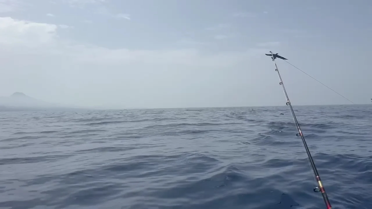 Gavin Glen Fishing Tenerife