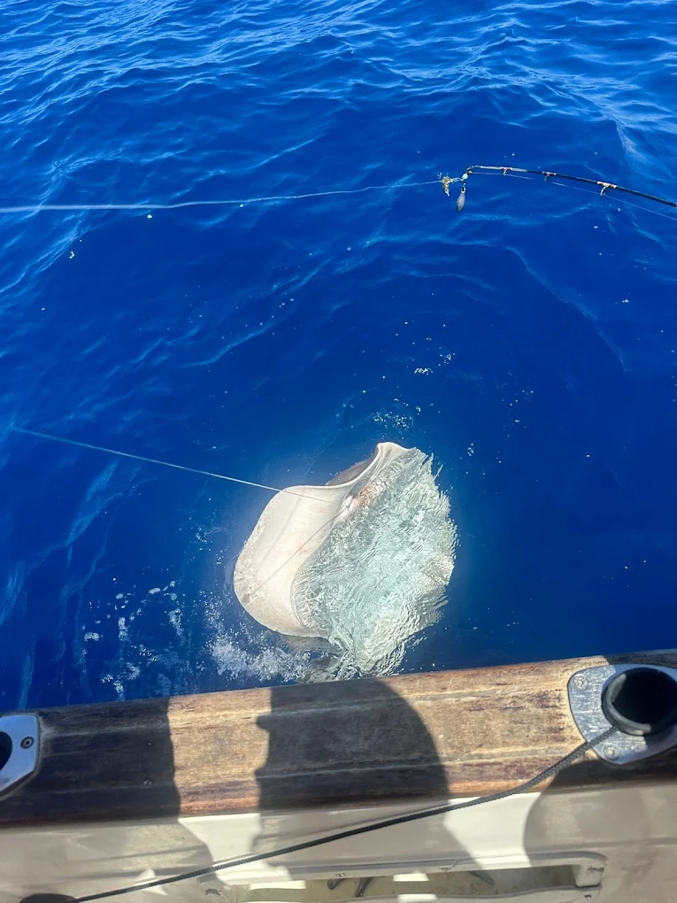 Fishing Charter in Costa Adeje photo 2