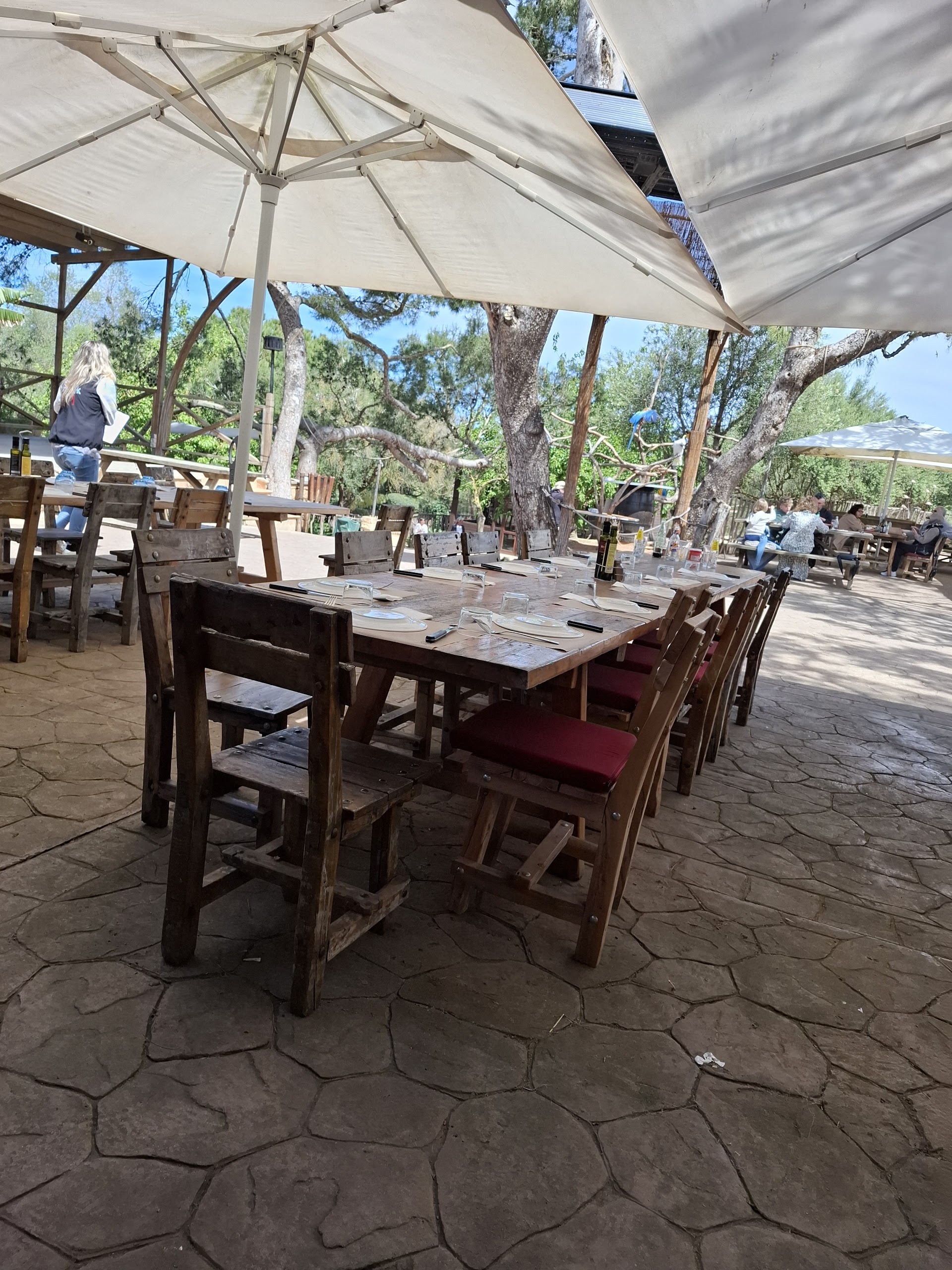 Jeep Safari in Cala San Vicente photo 4