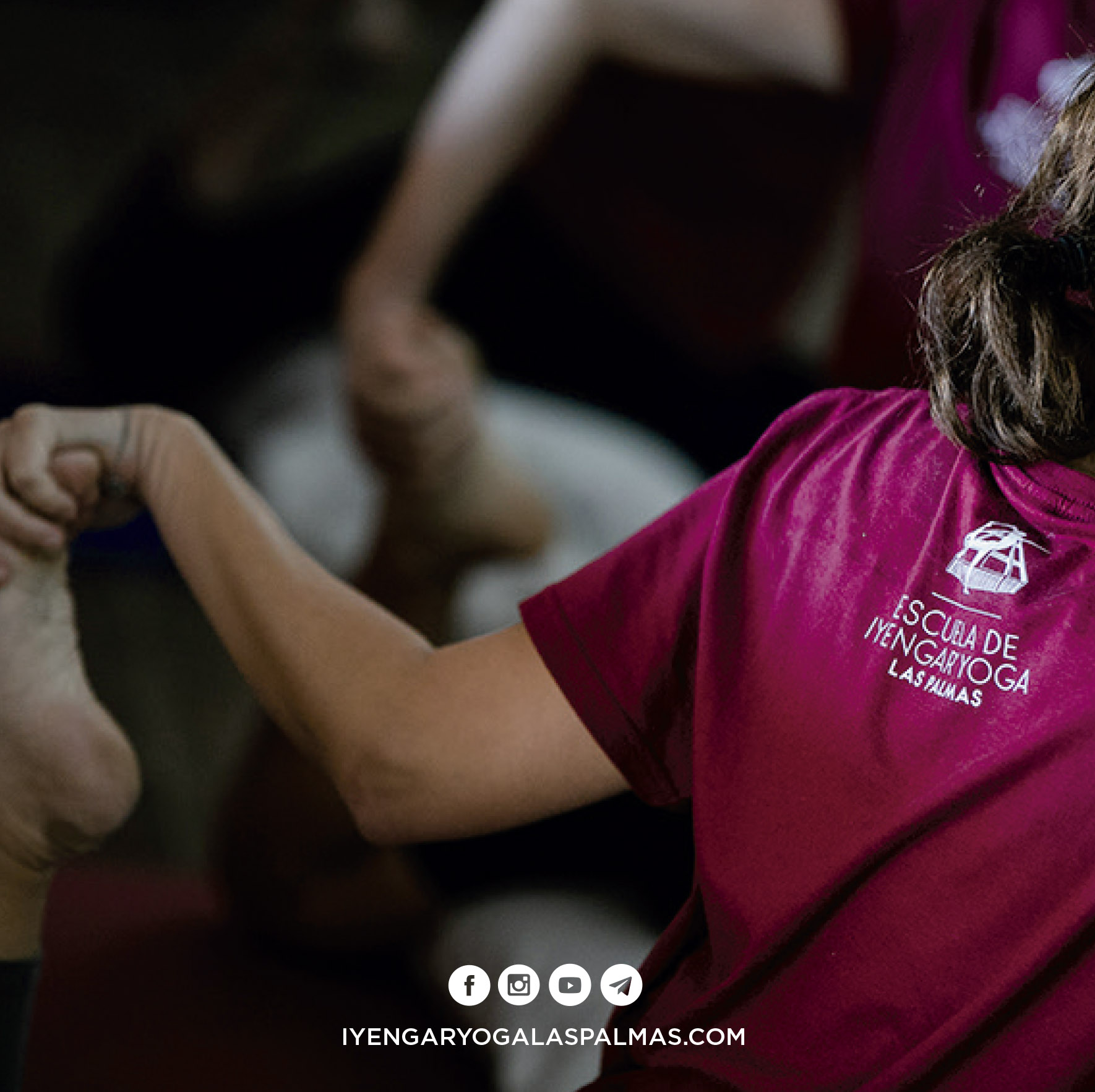 Yoga & Wellness in Puerto Rico photo 5