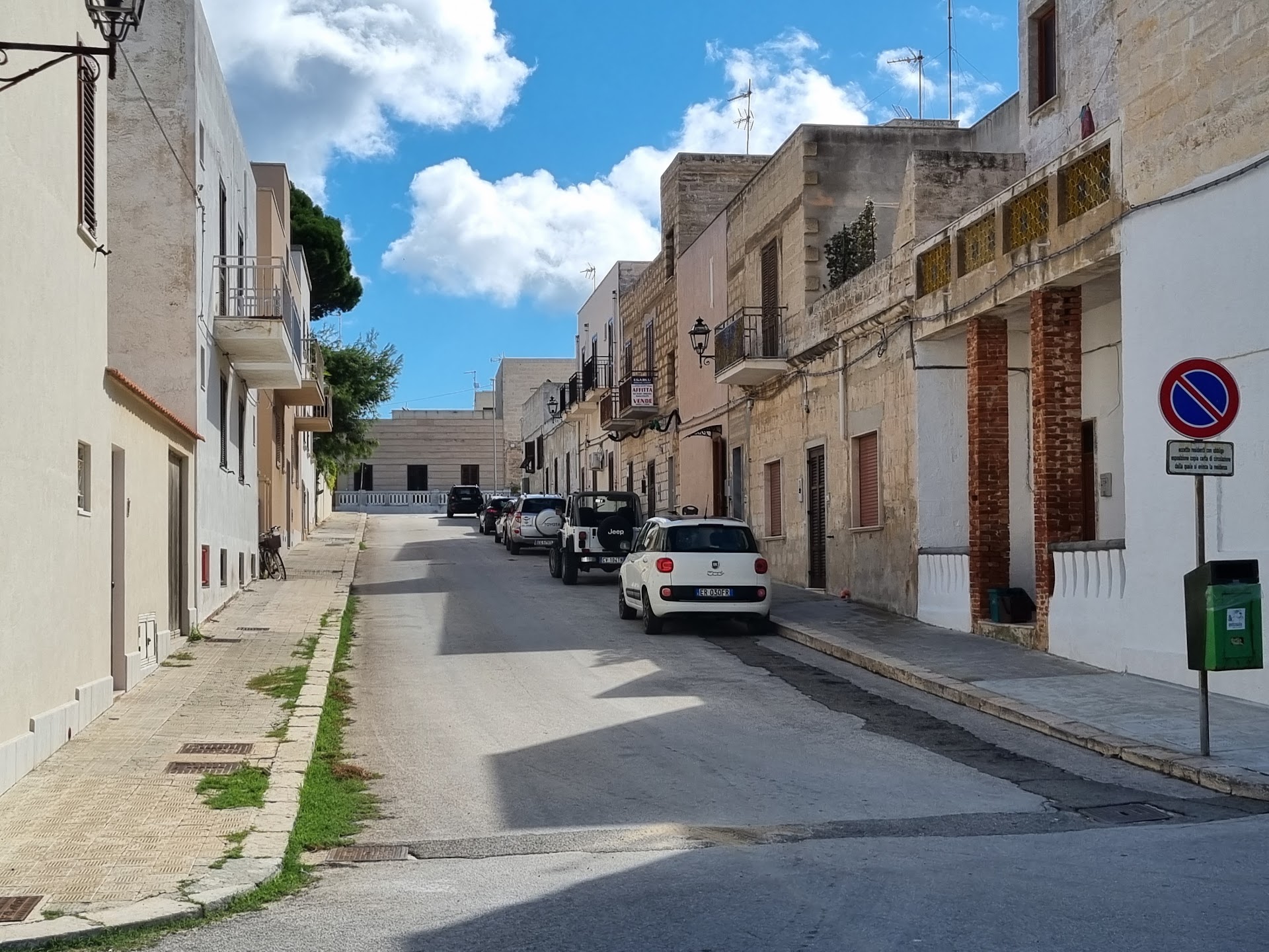 Camel Riding in Favignana photo 4