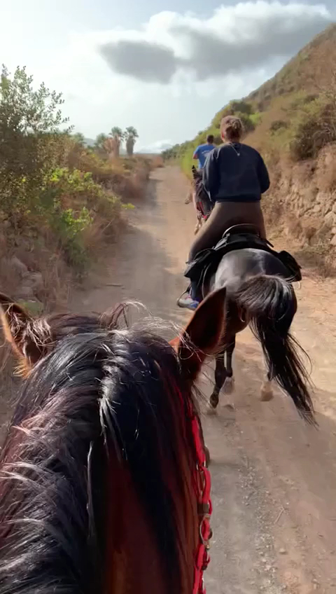 Horseback Riding in Pantaleria photo 3