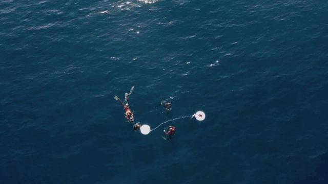 Freediving in Es Pujols photo 2