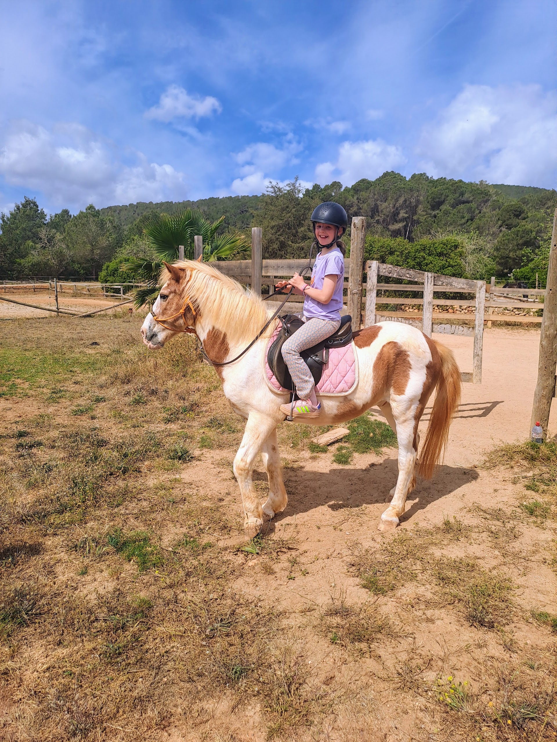 Horseback Riding in Cala Tarida photo 1
