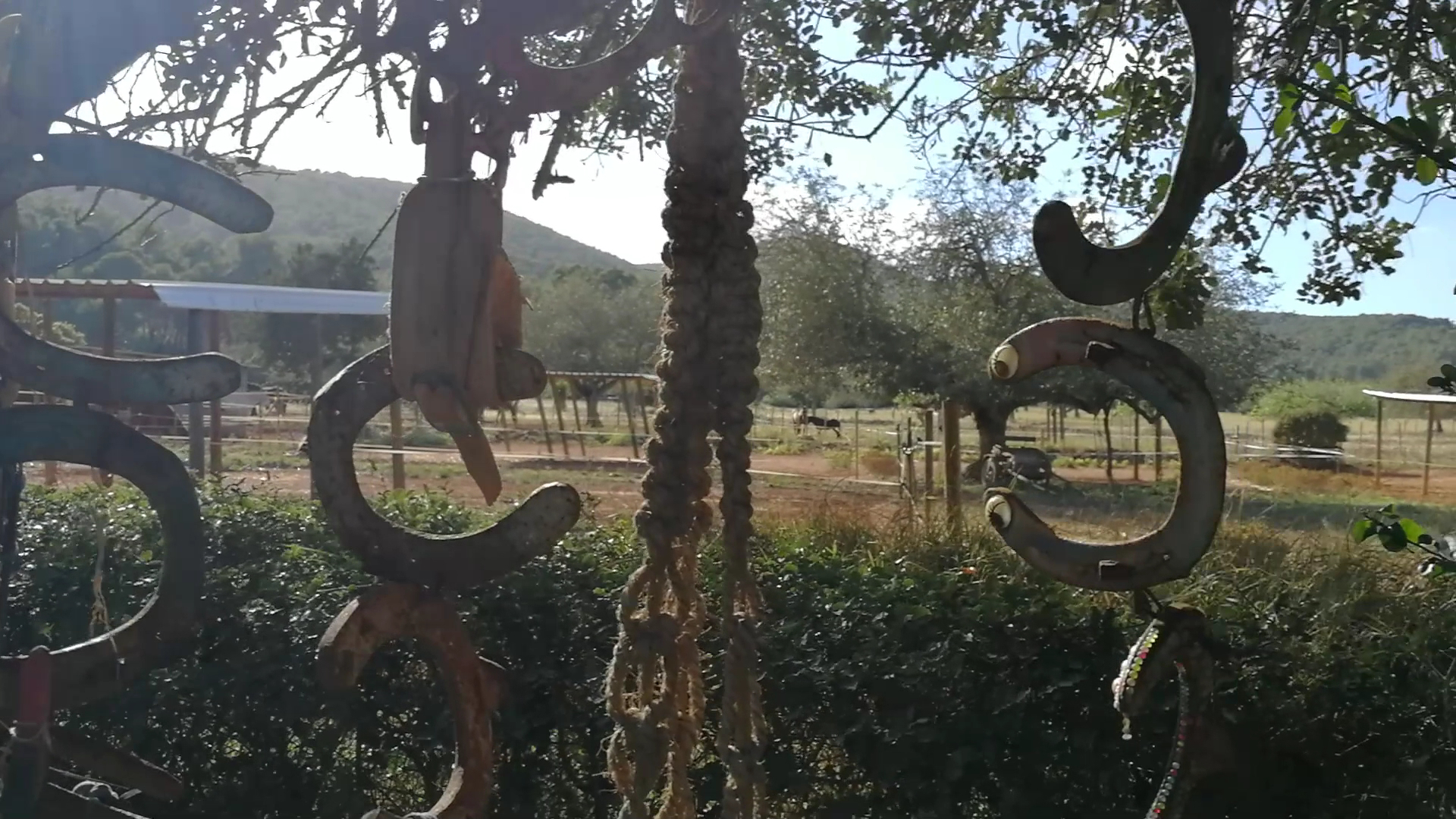 Horseback Riding in Cala Tarida photo 3