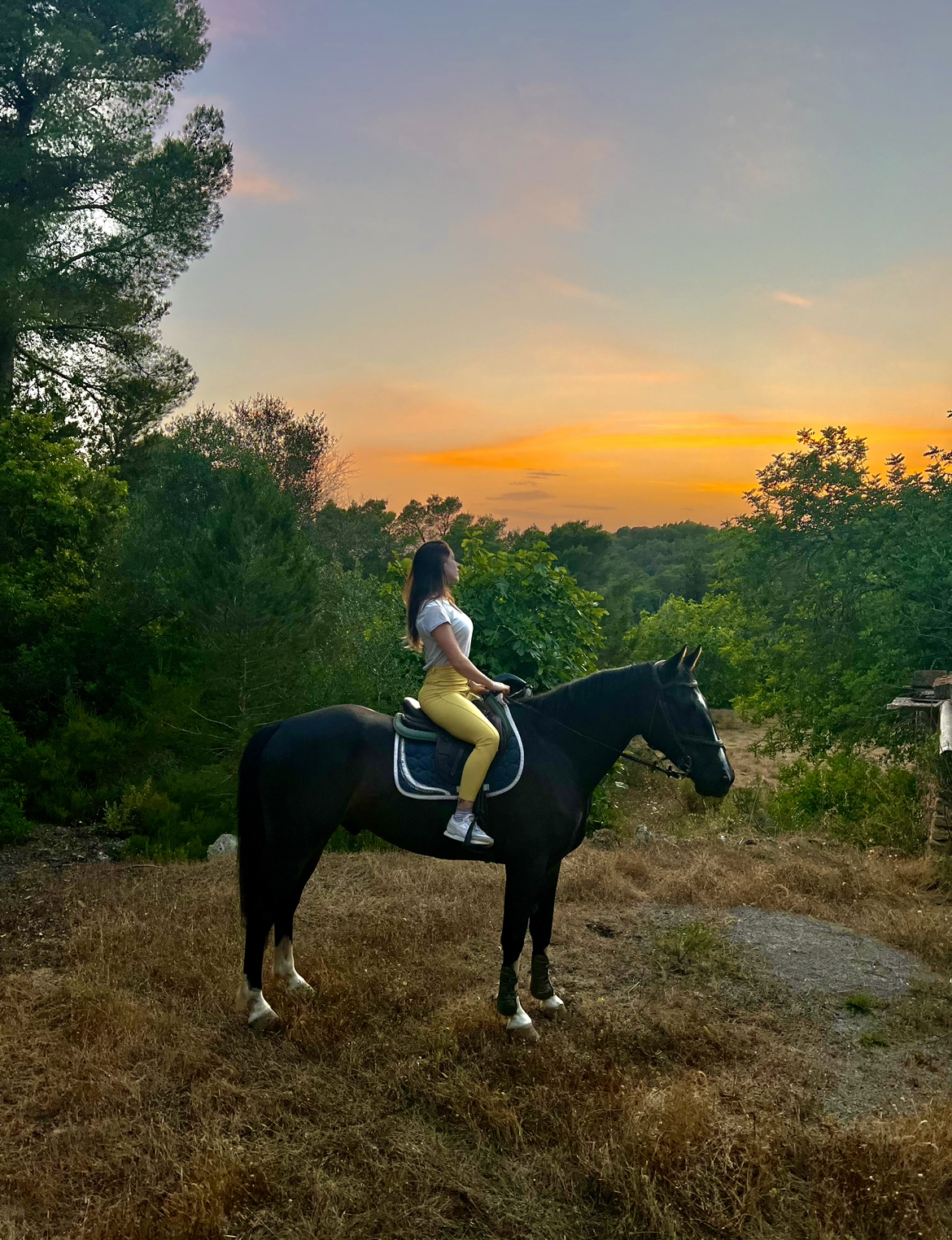 Horseback Riding in Cala Tarida photo 5