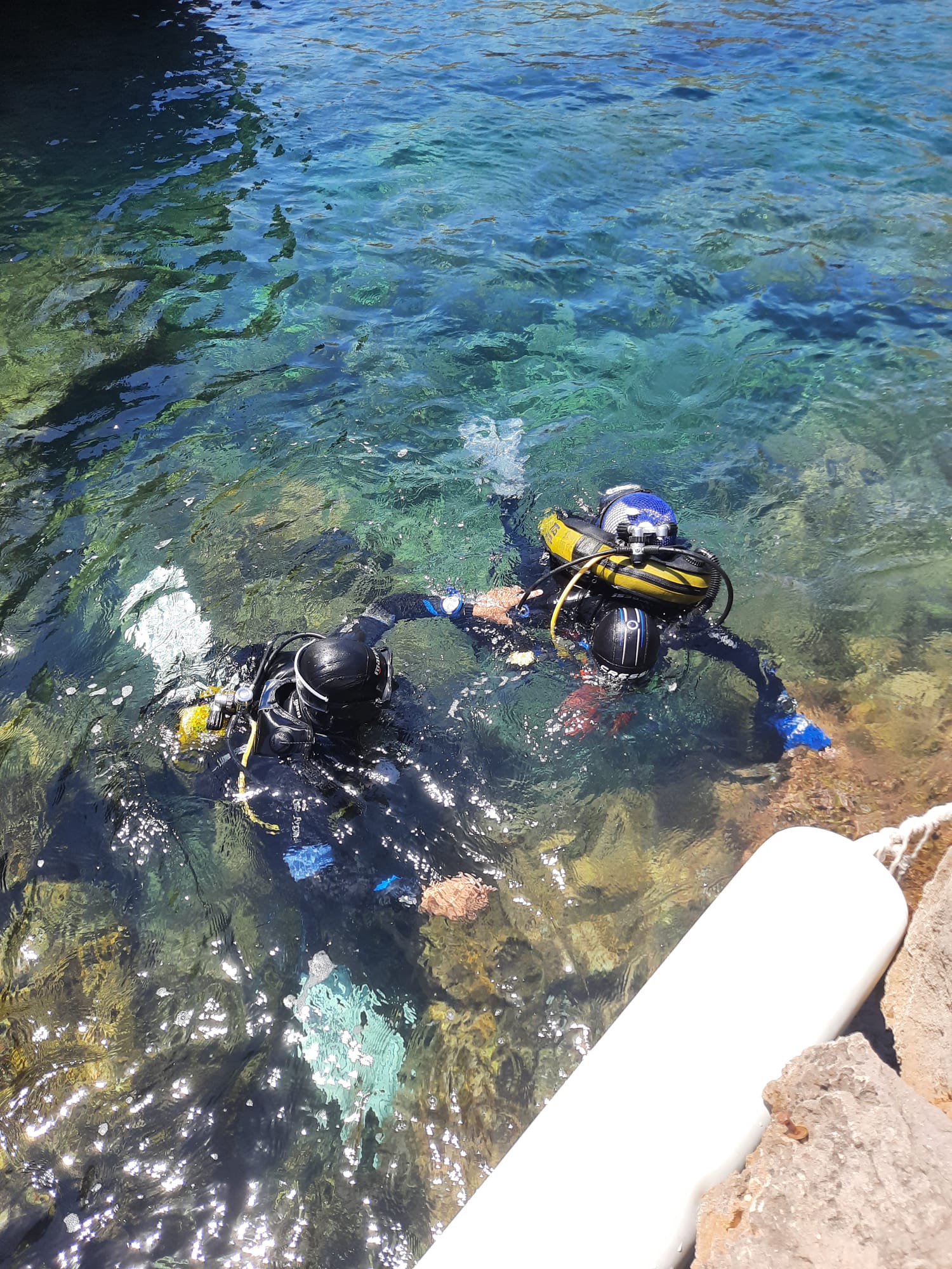 Scuba Courses in Cala en Bosch photo 4
