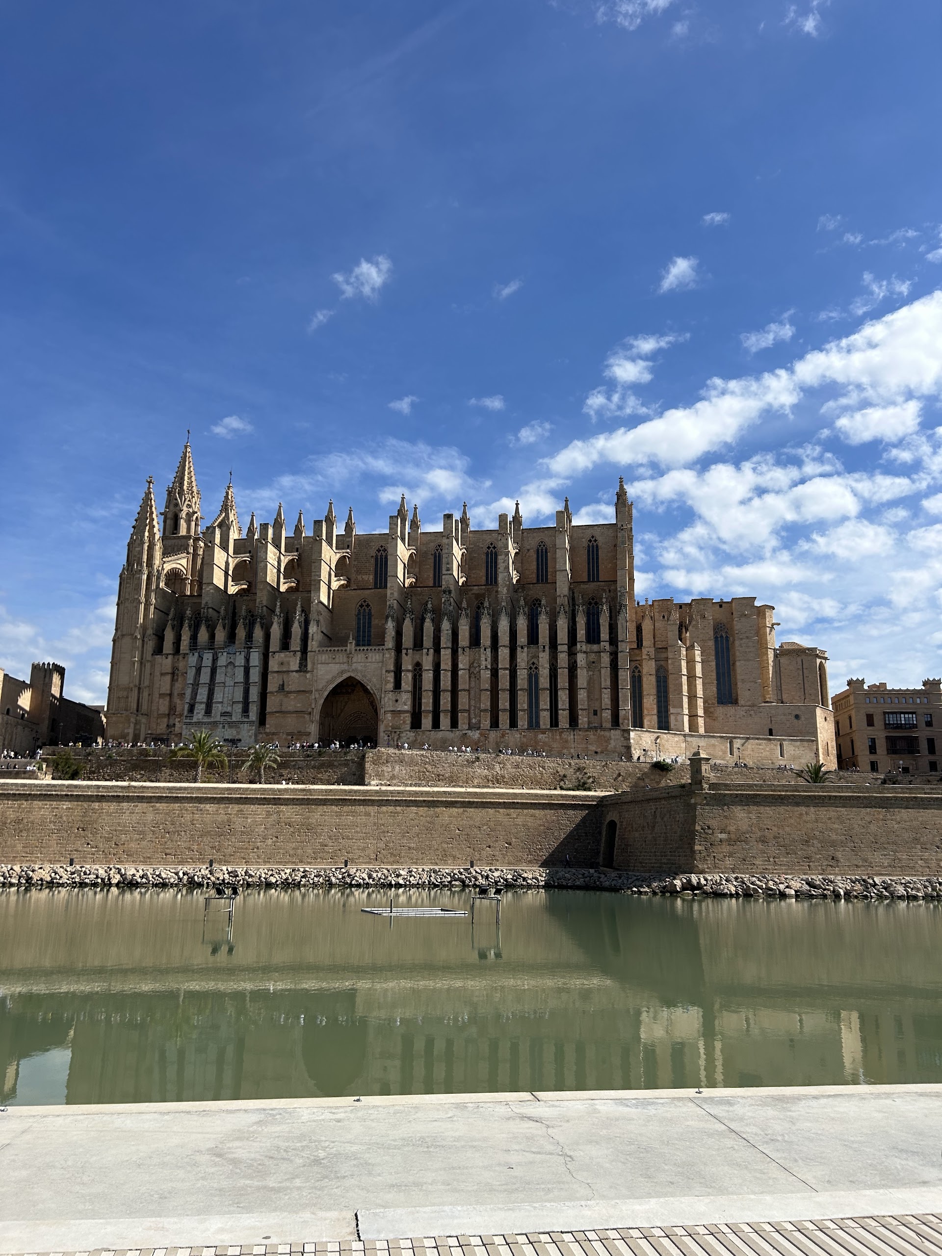 Mountain Bike Rental in Palma Nova photo 2