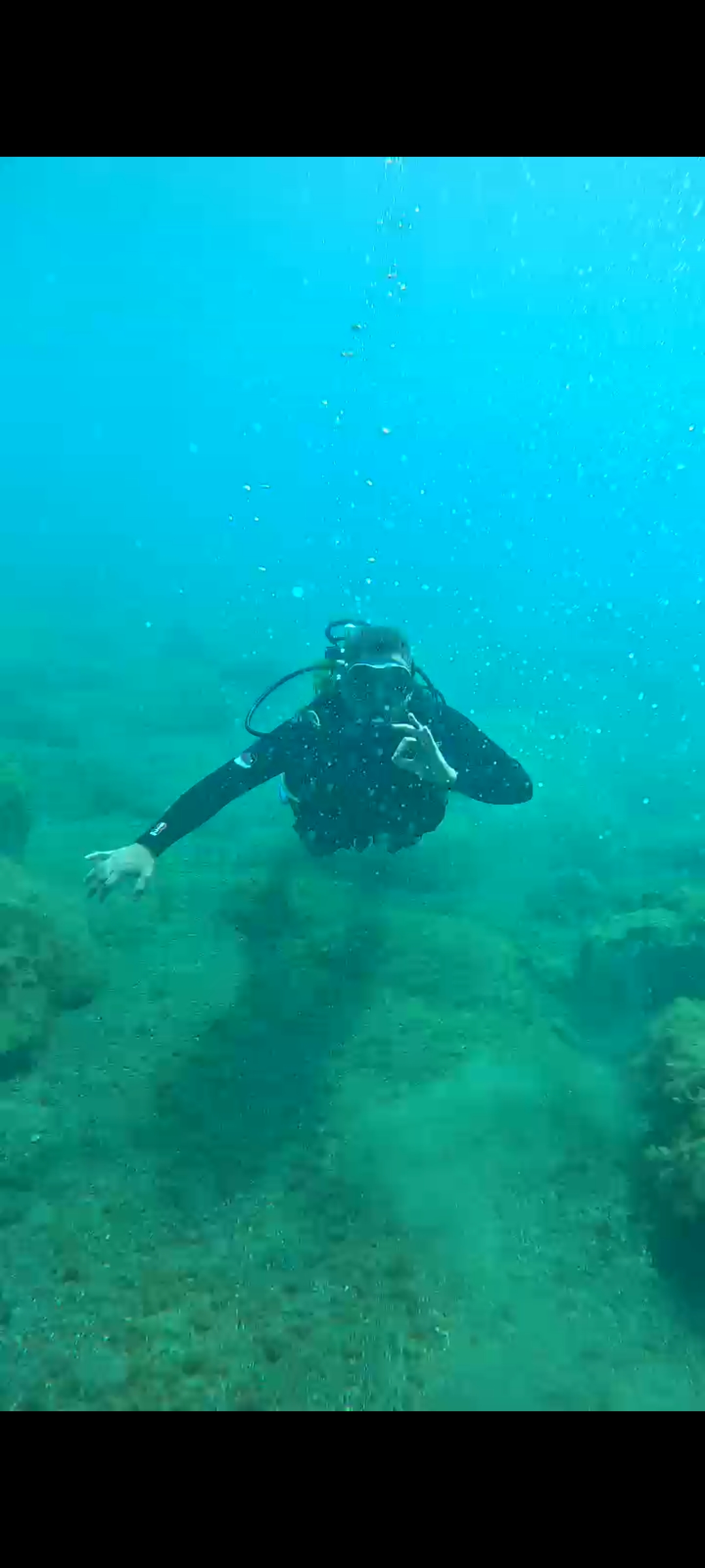 Centro de Buceo El Bajón